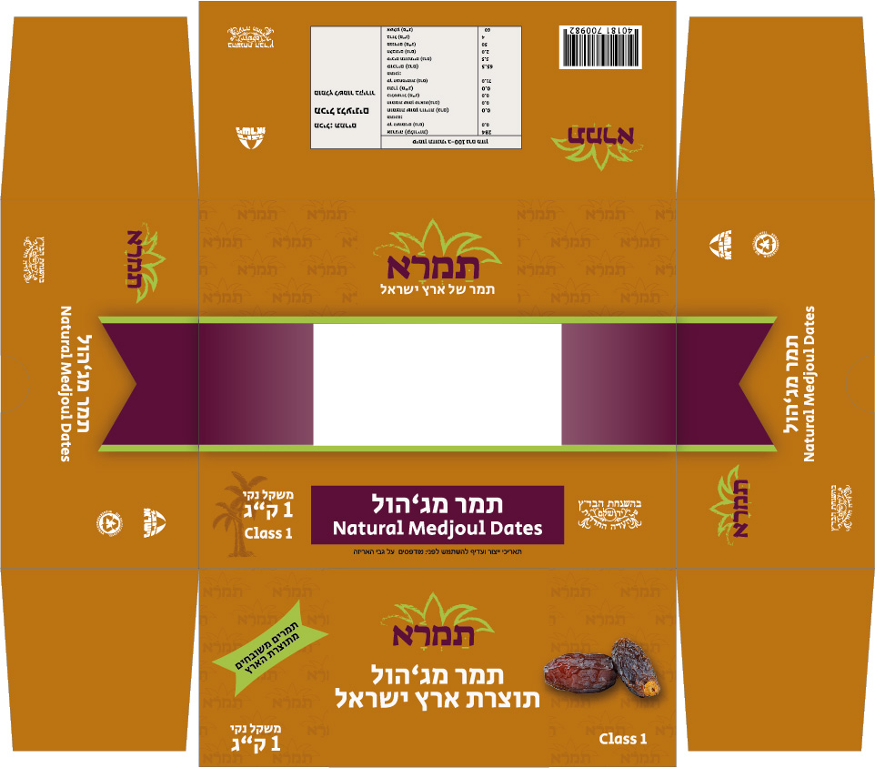 פריסה תמר מגהול.jpg