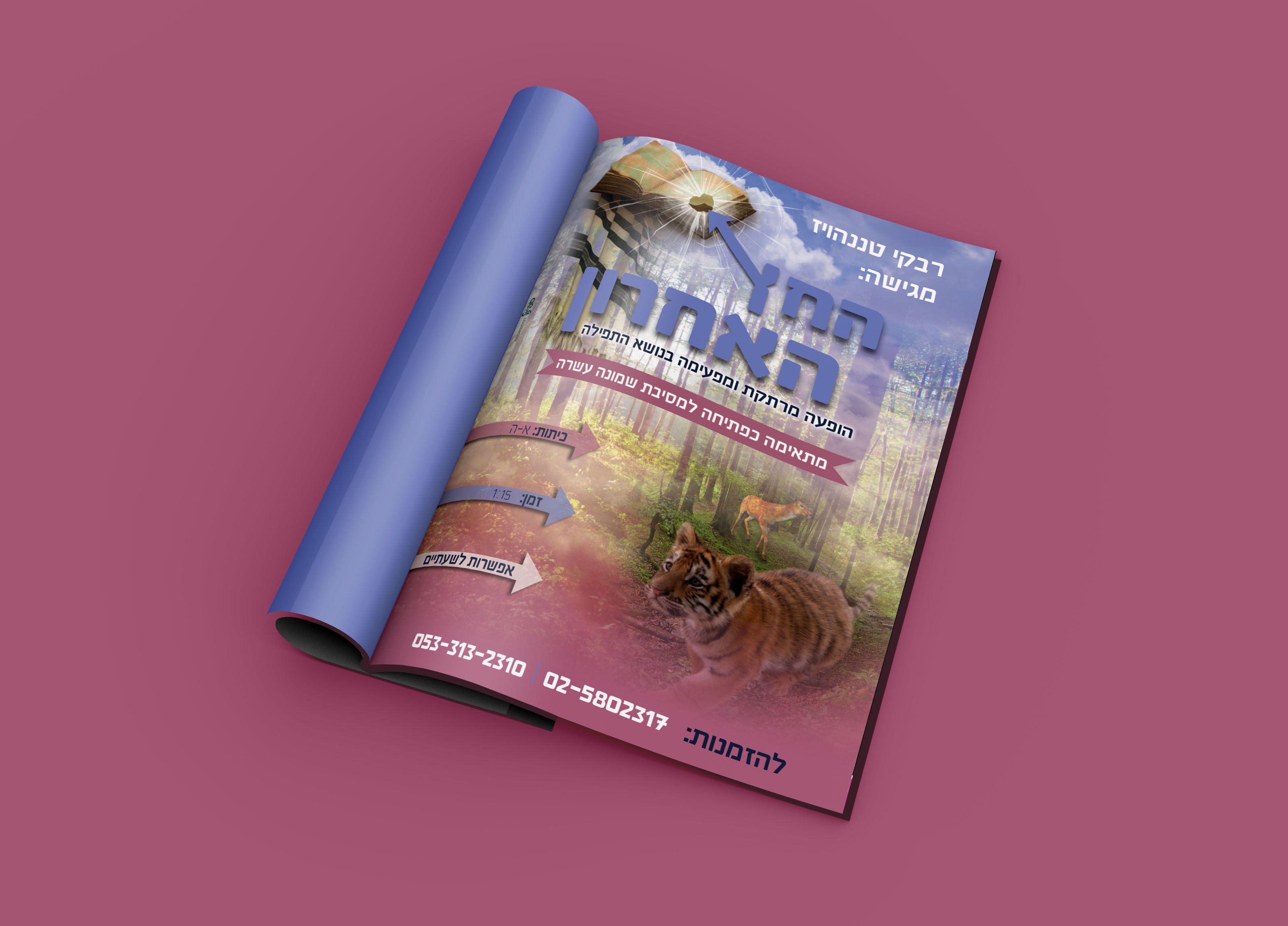 פרסום   החץ האחרון