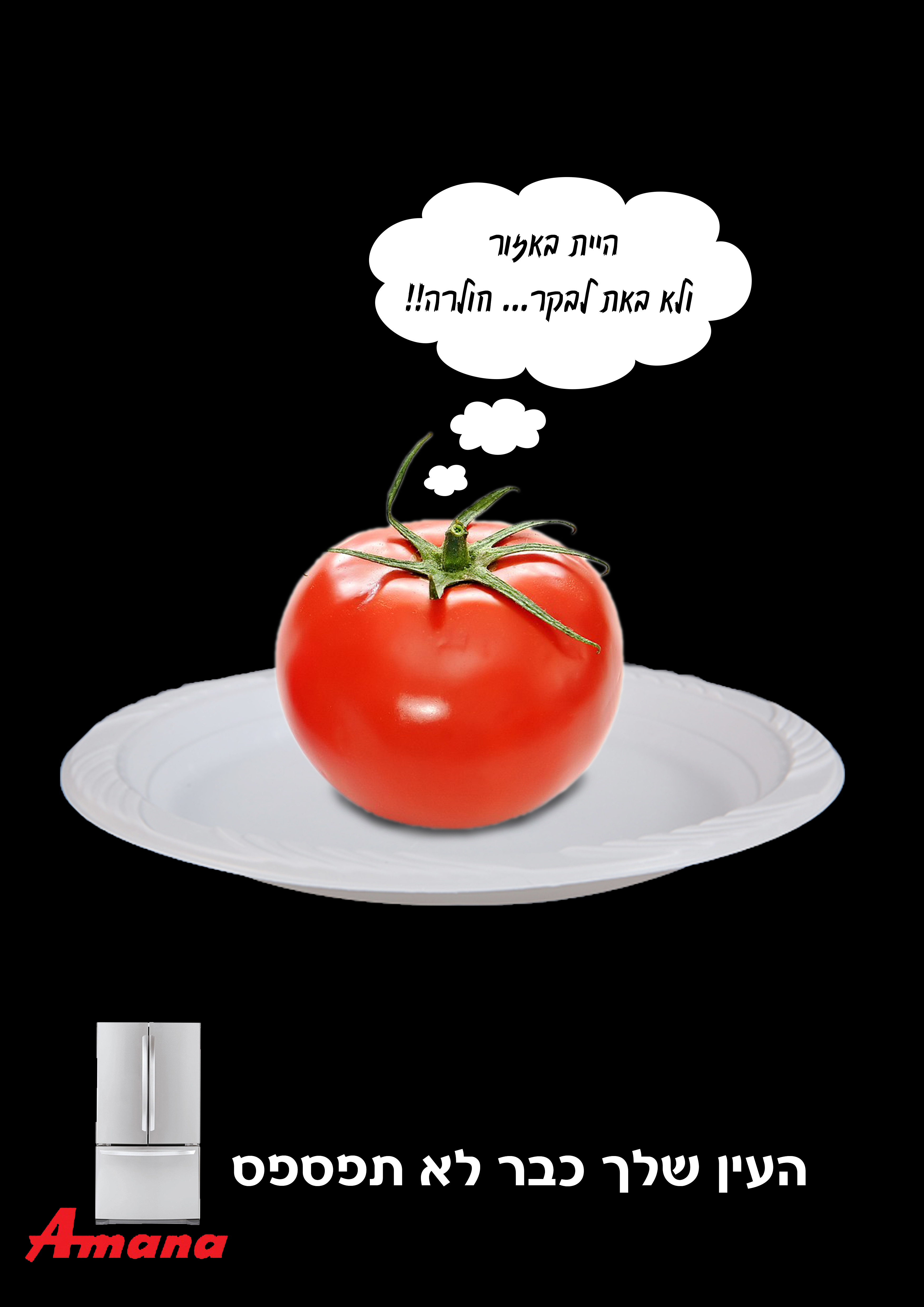 פרסום מקרר אמנה3.jpg