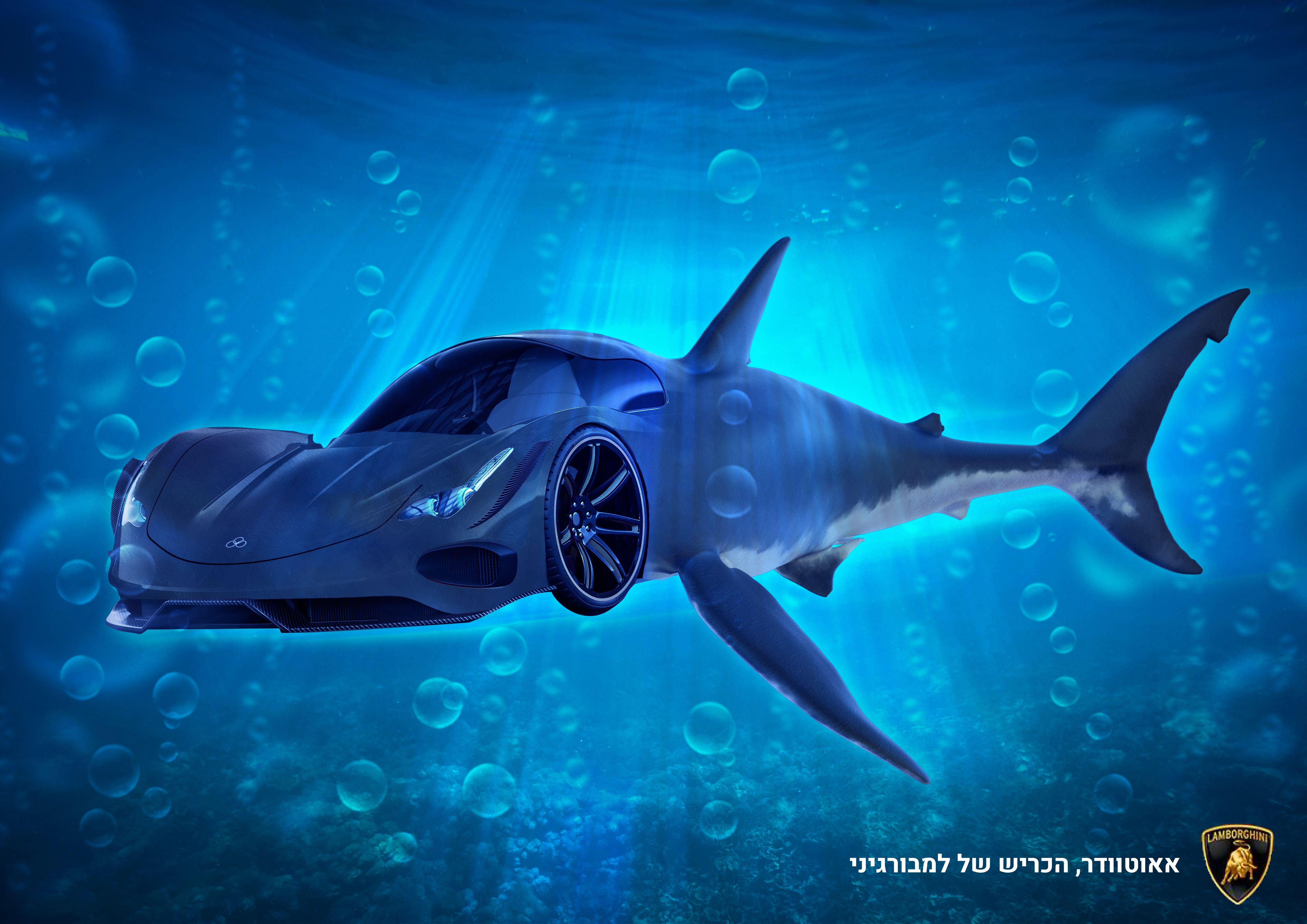 פרסומת למבורגיני