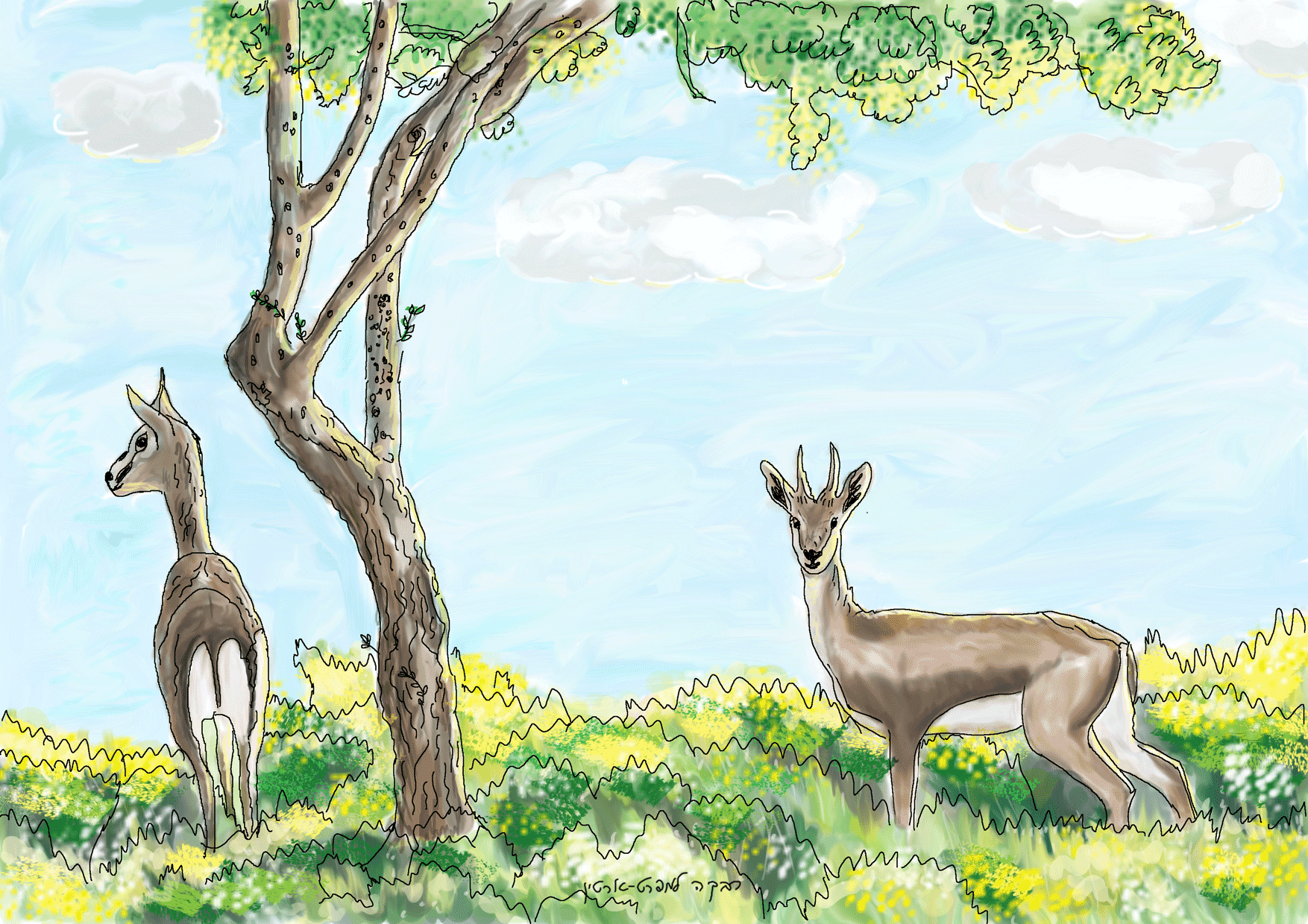 צבאים ועננים