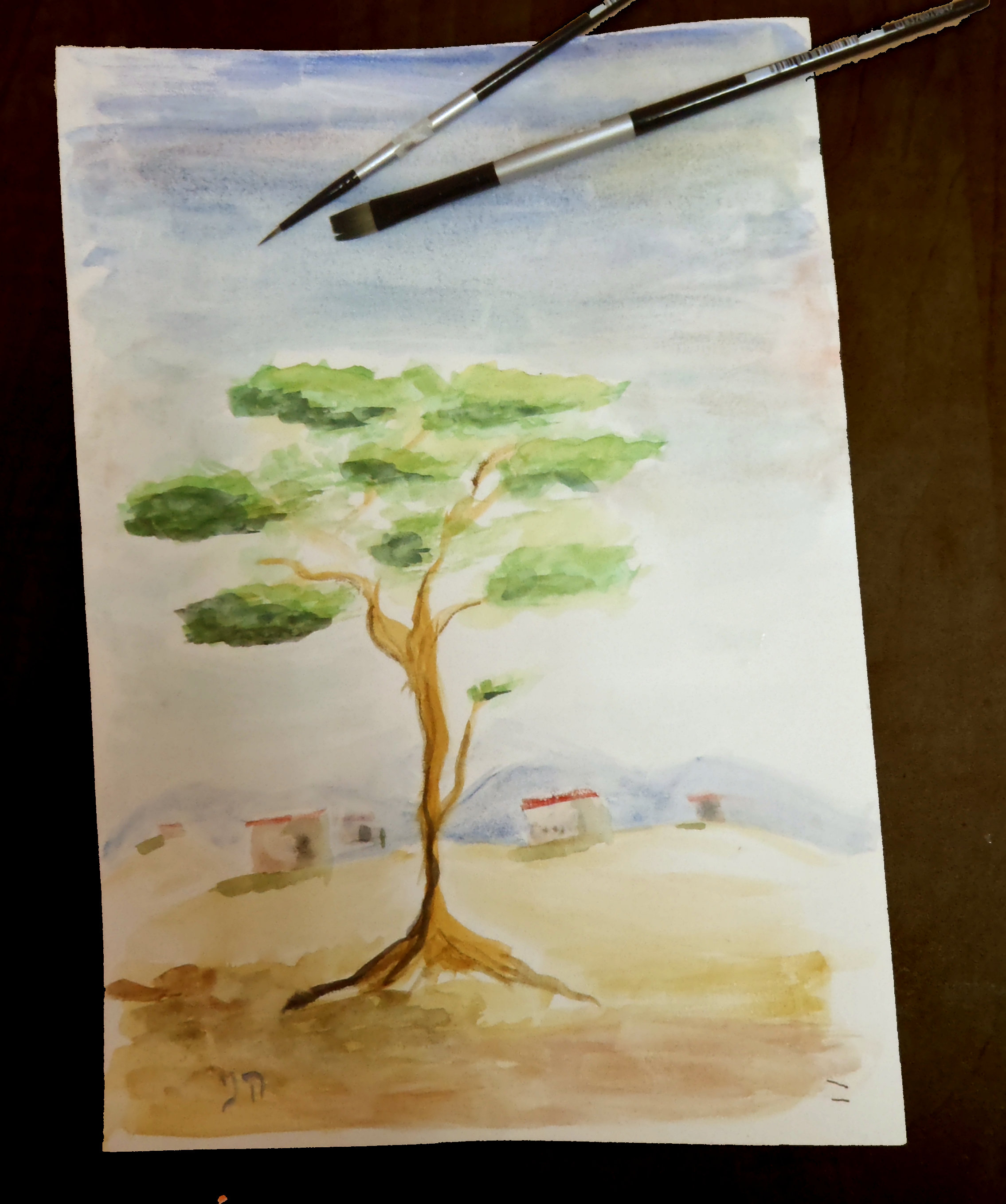 צבעי מים הני פנט