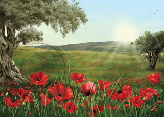 צבעי שמן בפיינטר