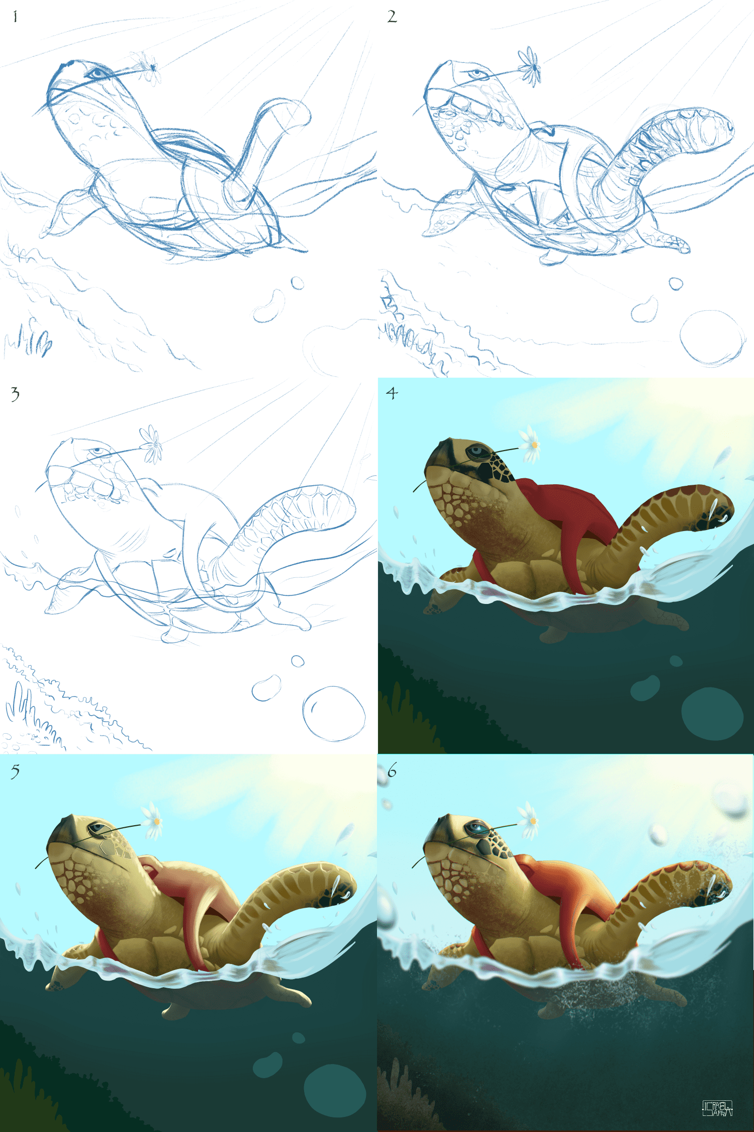 צב ים- תהליך