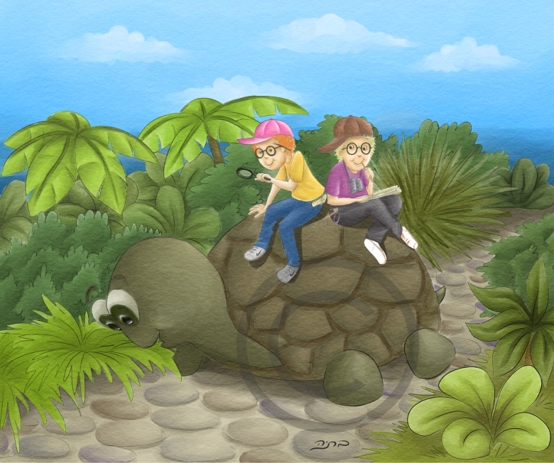 צב צבוני מחולק   חלק 1