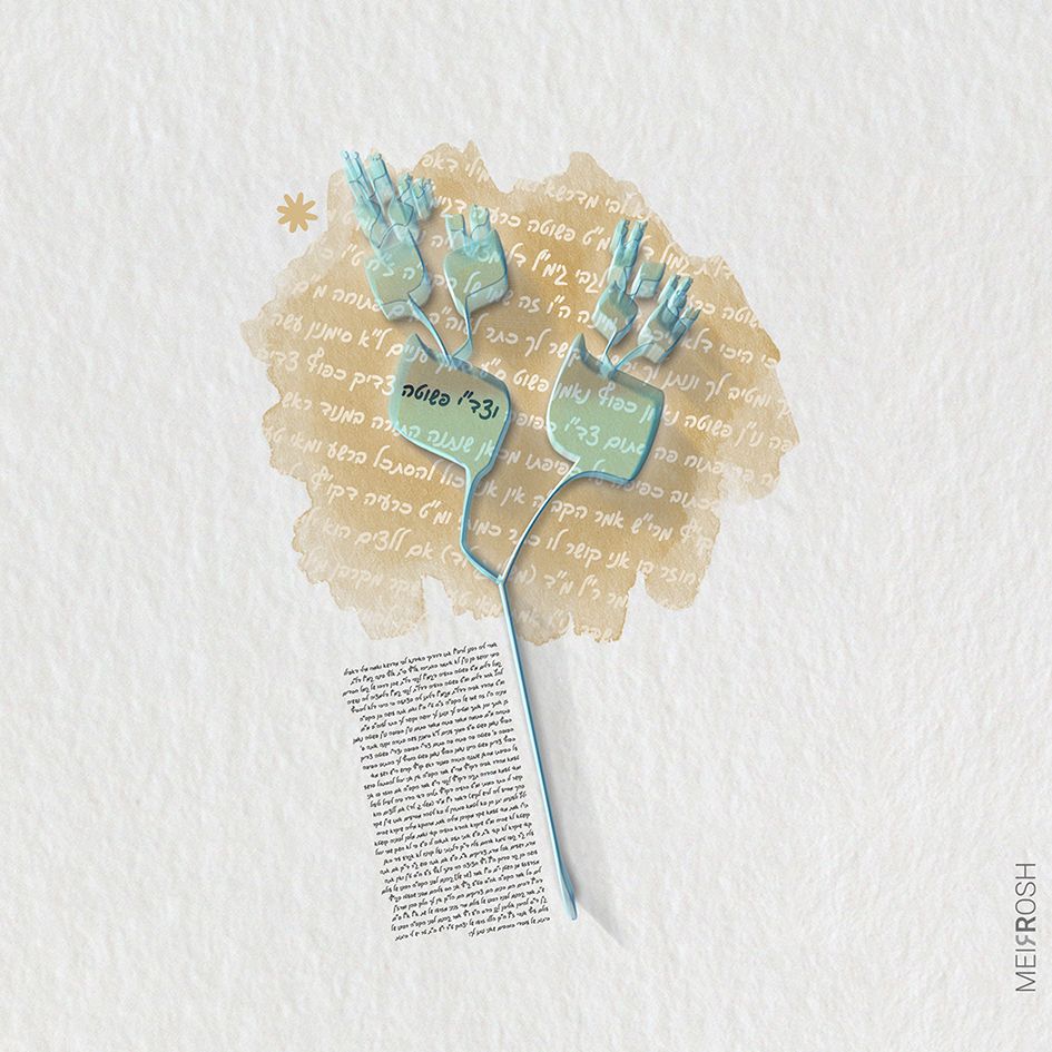 צדיק וזה סופית2 MeirRoshDesign.jpg
