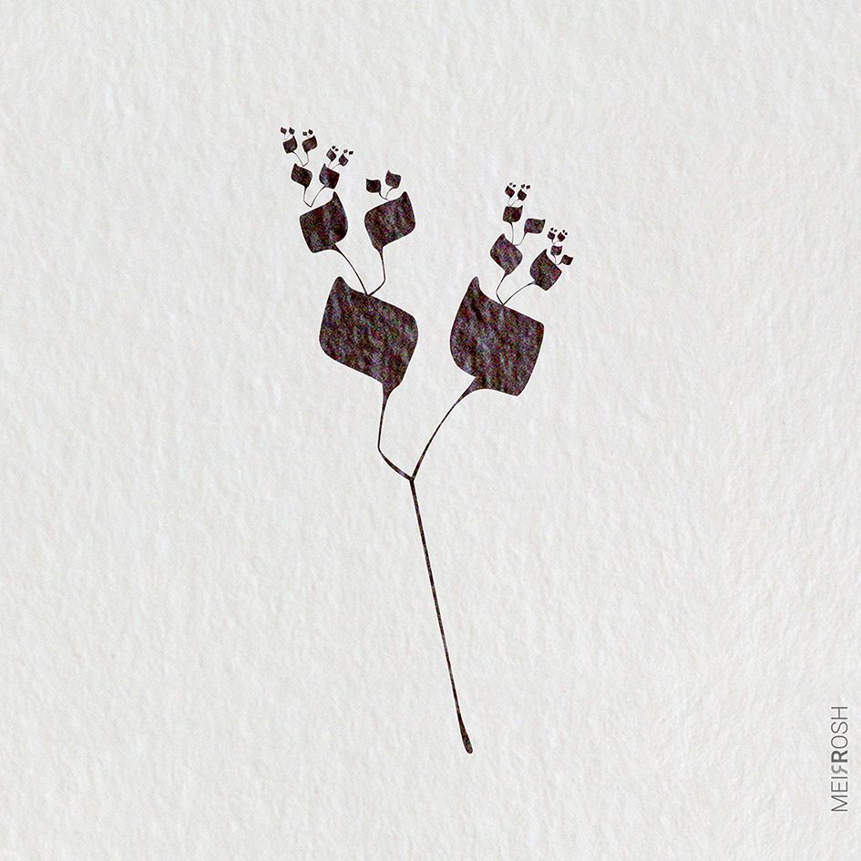 צדיק וזה סופית2 MeirRoshDesign2.jpg