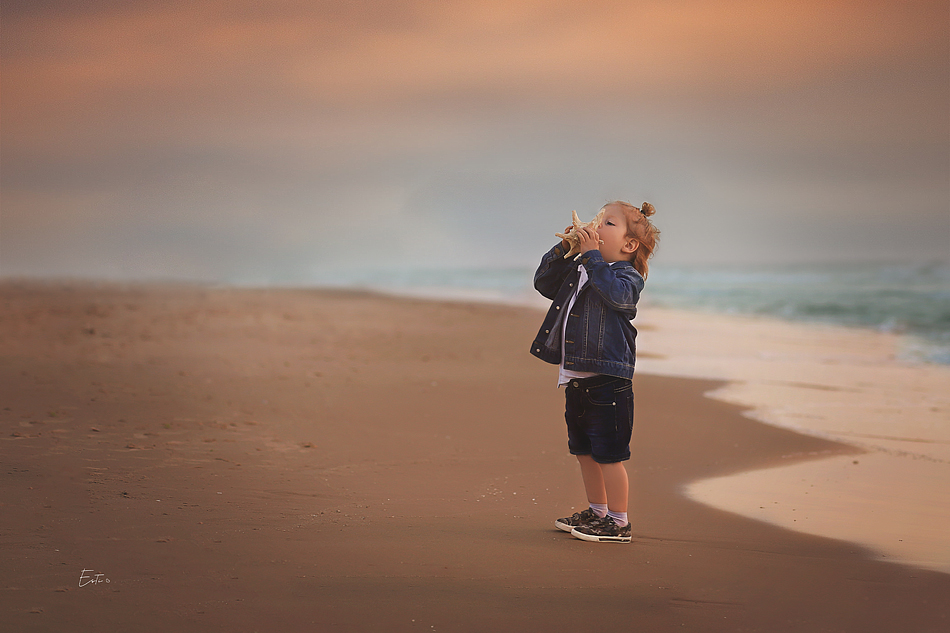 צדף חוף מ.jpg