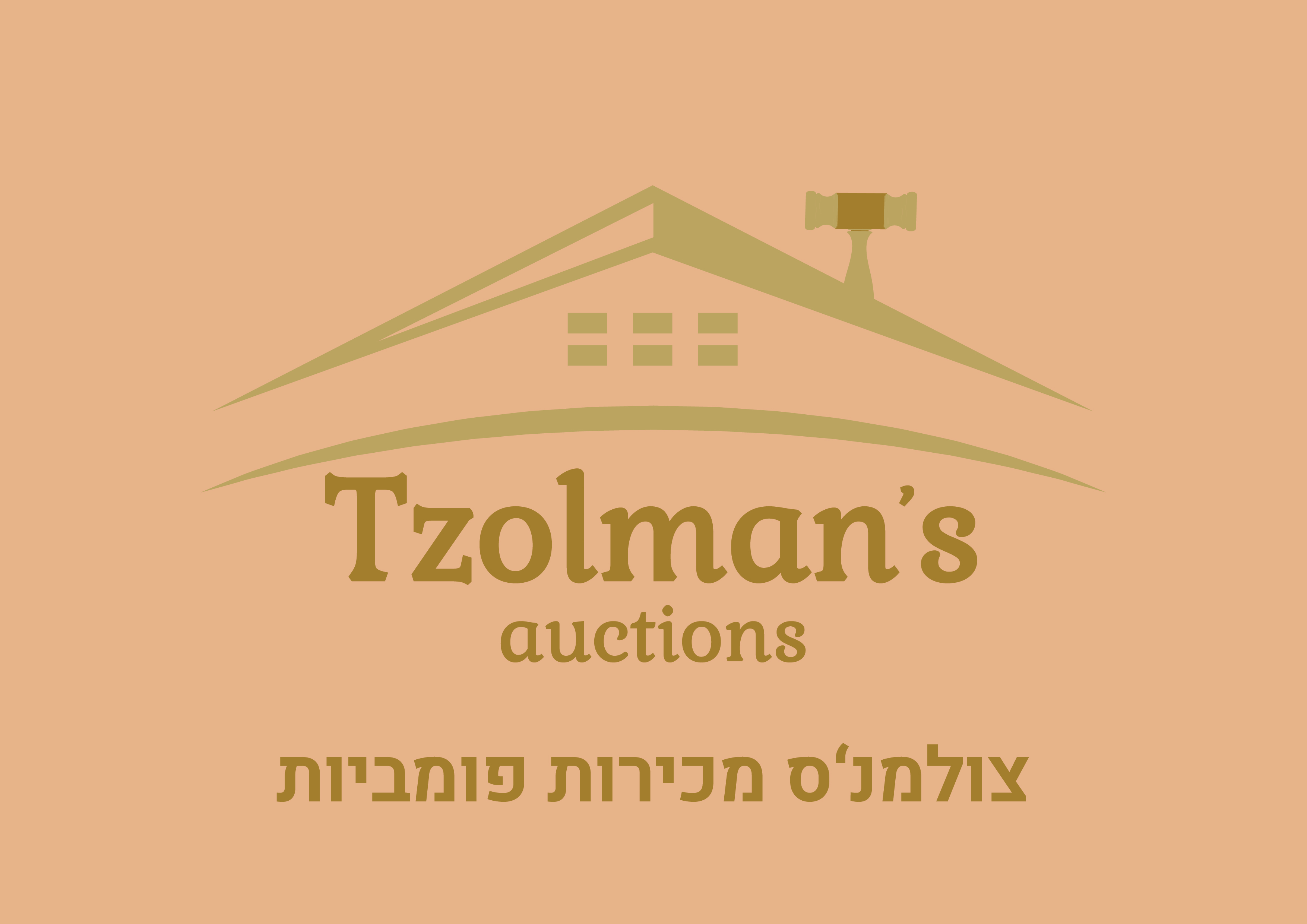 צולמנס לאינטרנט