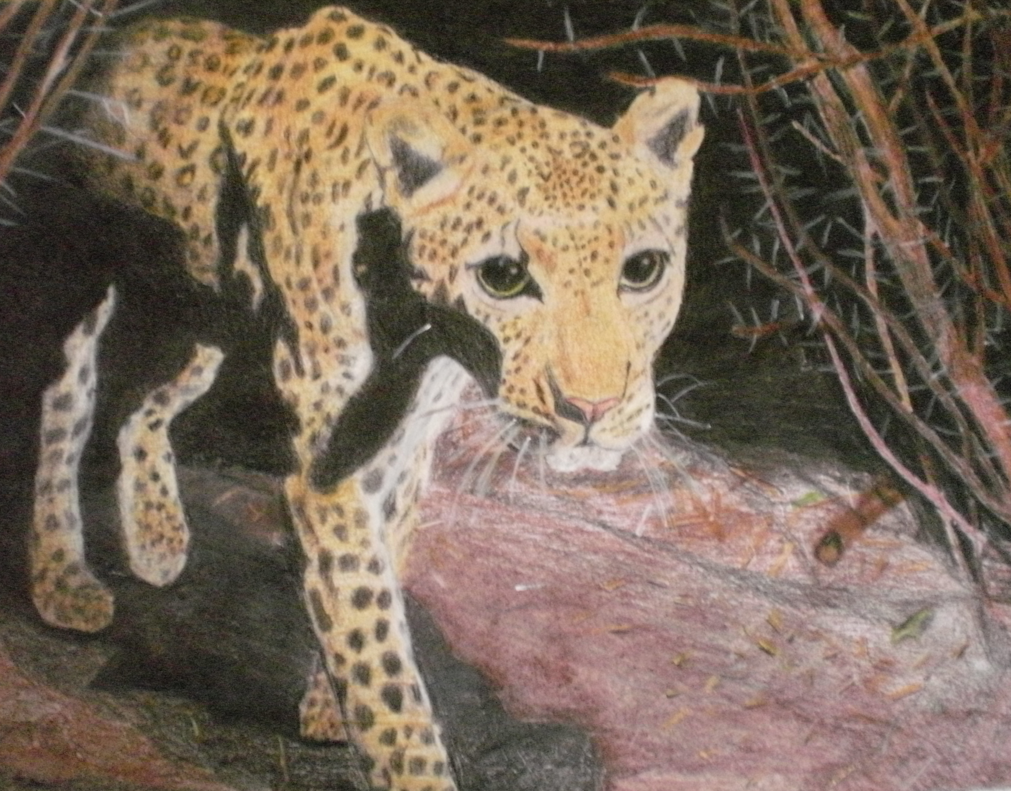 ציורים מהילדות...