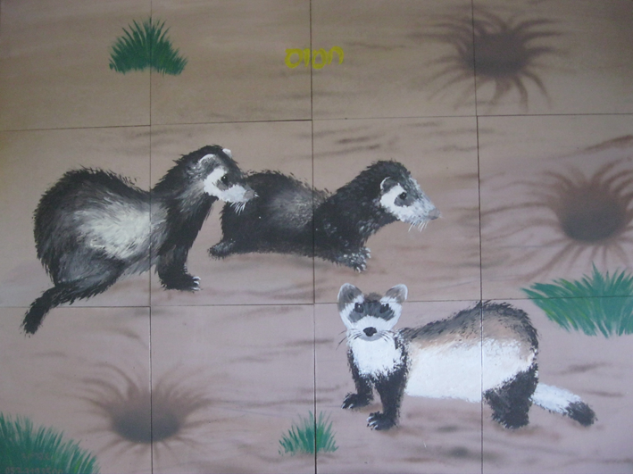 ציור חמוס על פזל מדיקט.