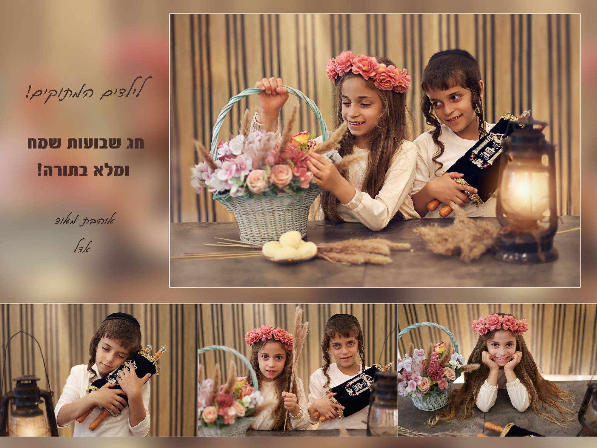 צילום אדל גניש 0556771745 (5).jpg