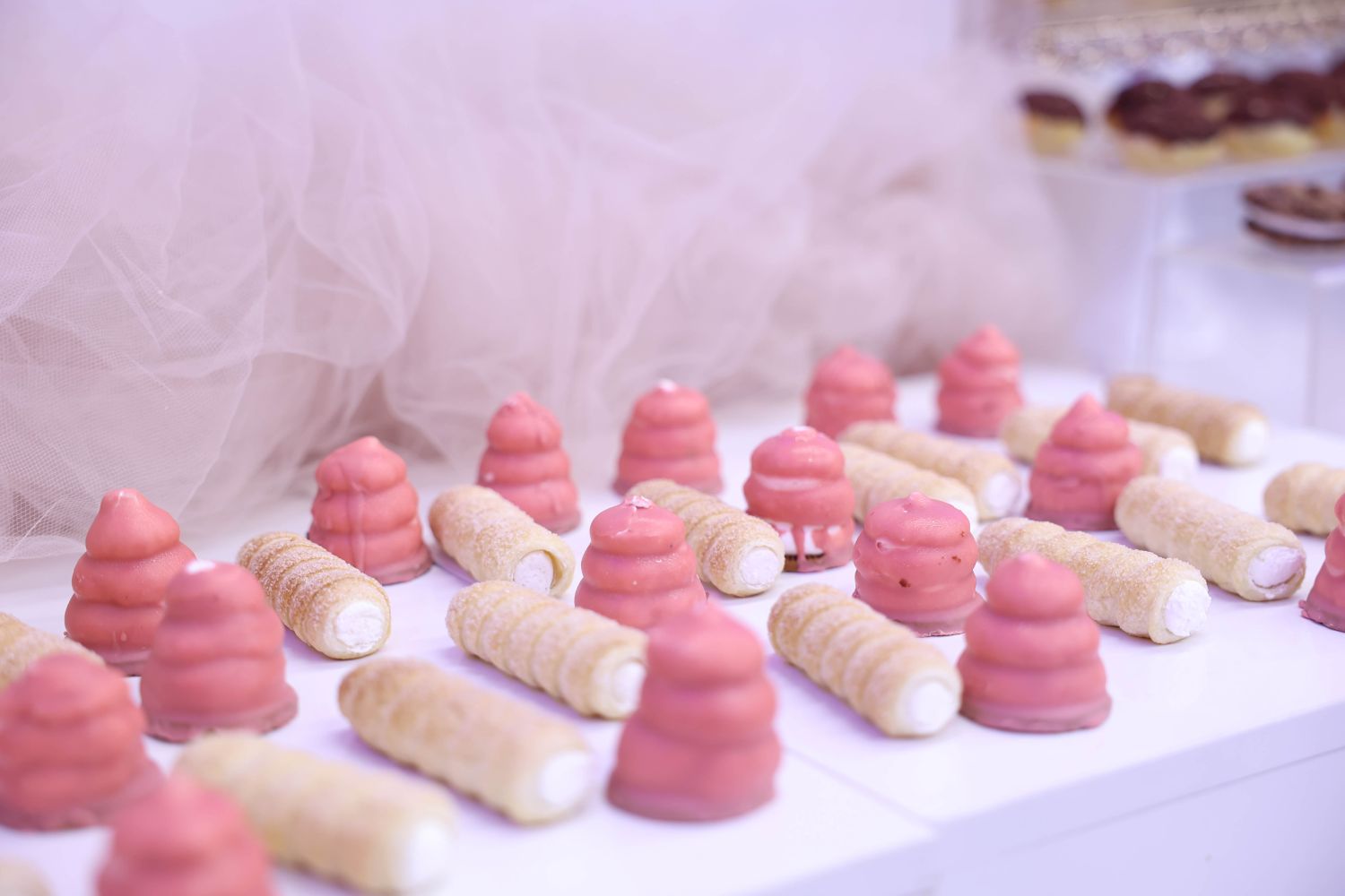 צילום אדל גניש (4).jpg