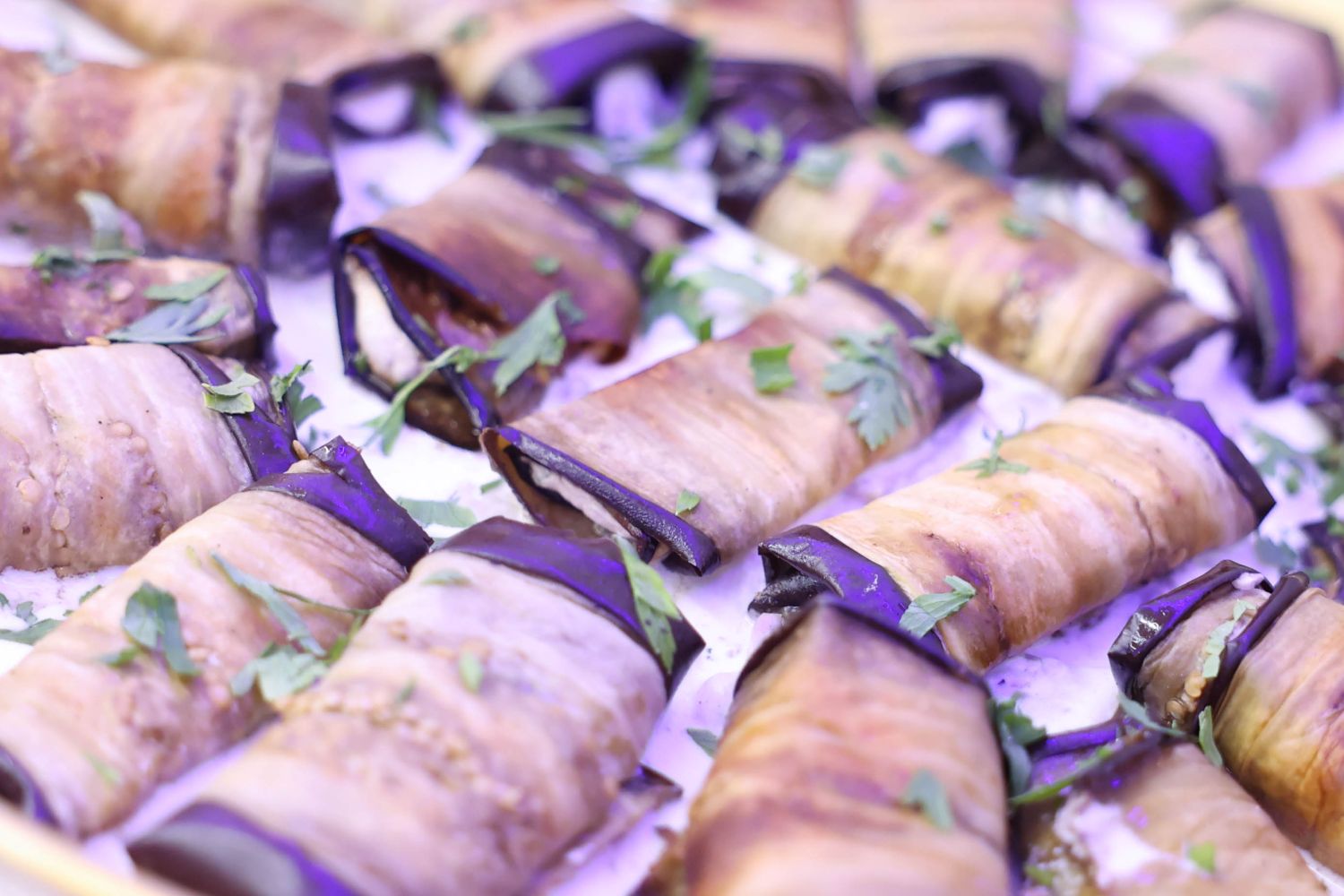 צילום אדל גניש (6).jpg