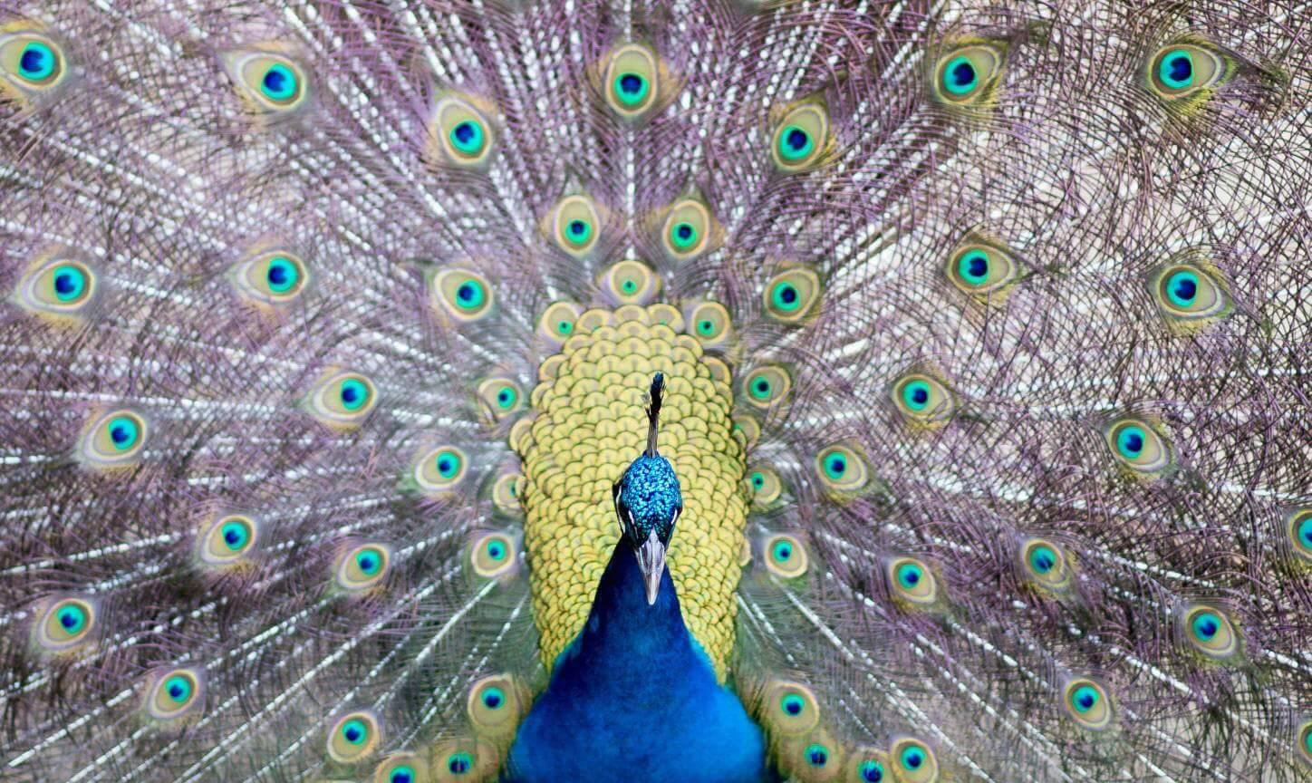 צילום אומנותי סטודיו שלוש