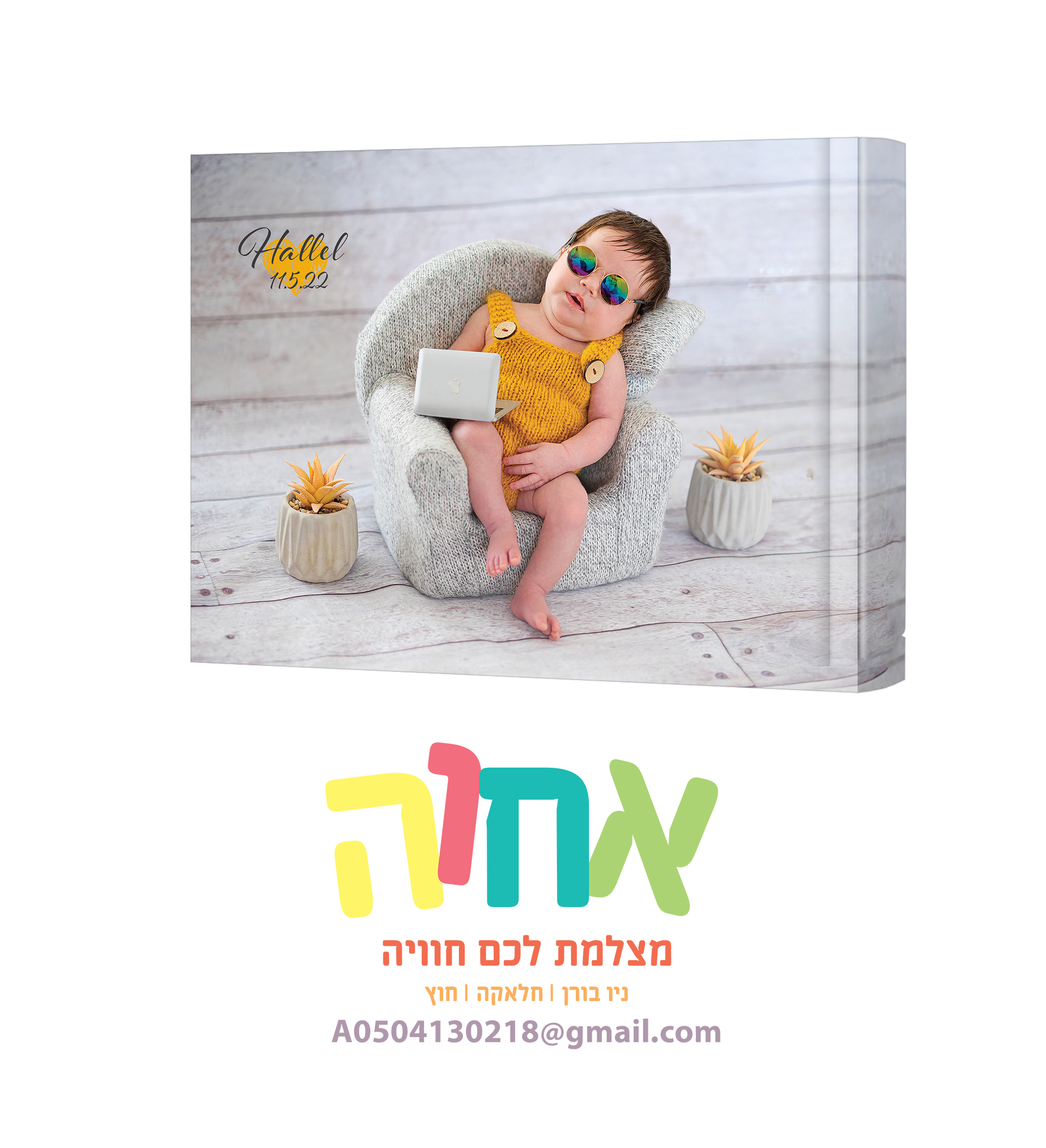 צילום אחוה פלוטקין 0504130218
