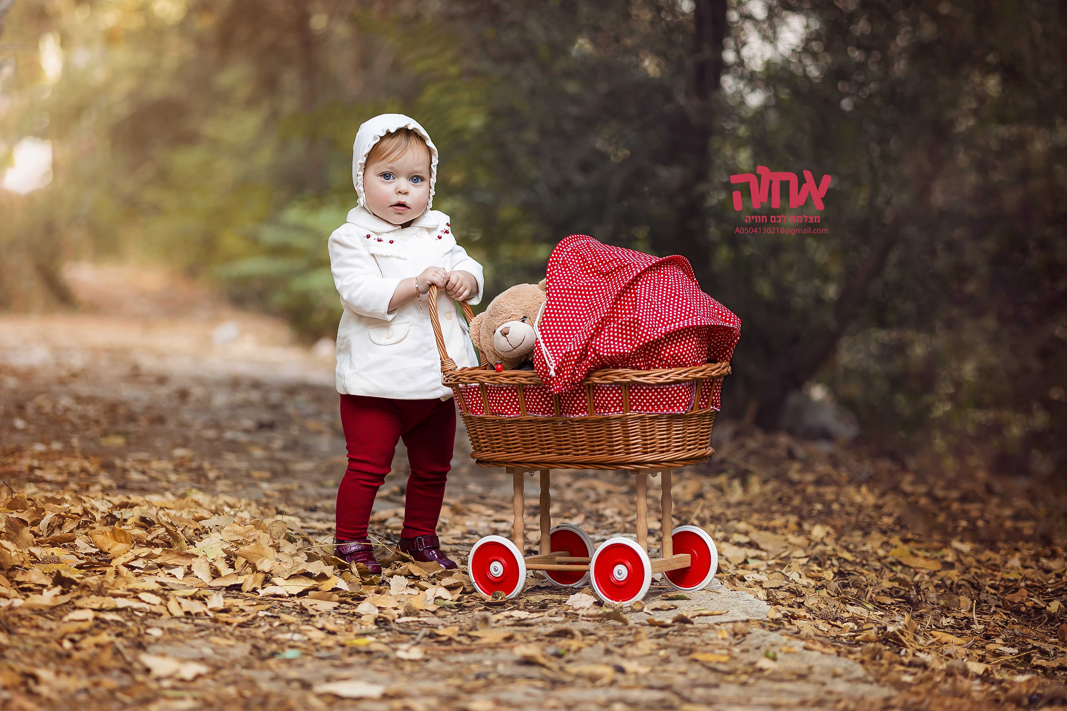 צילום אחוה פלוטקין- 0504130218