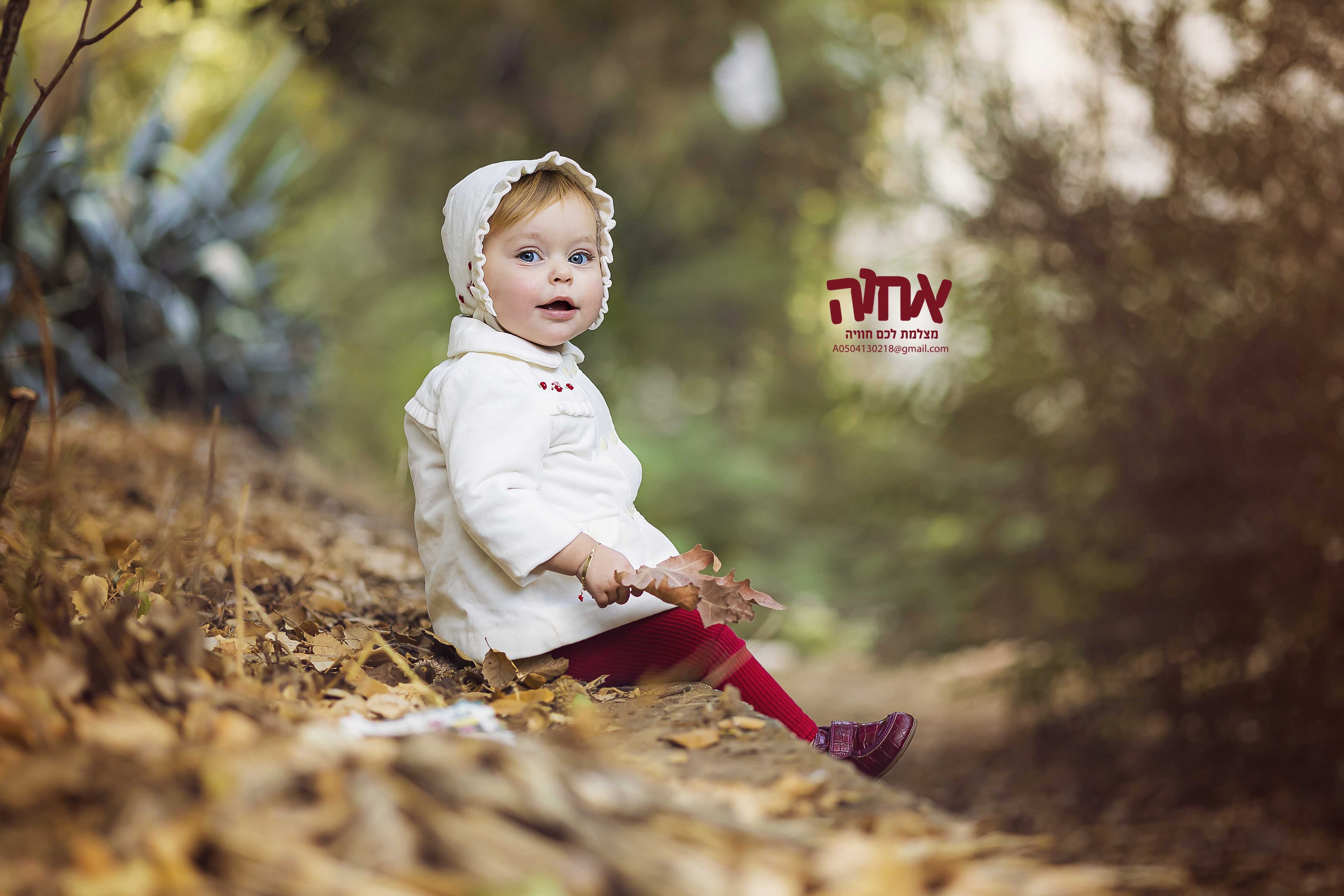 צילום אחוה פלוטקין- 0504130218