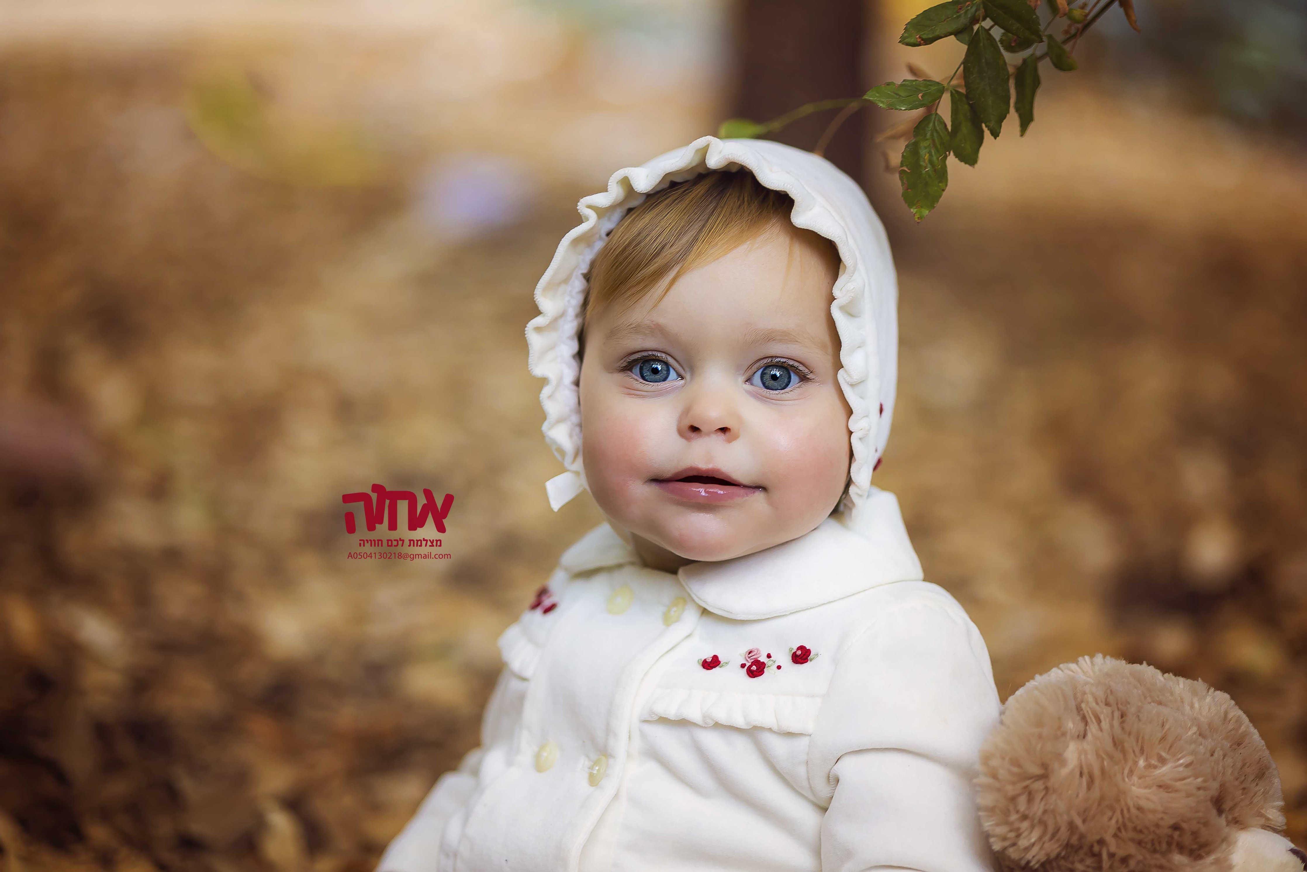 צילום אחוה פלוטקין- 0504130218