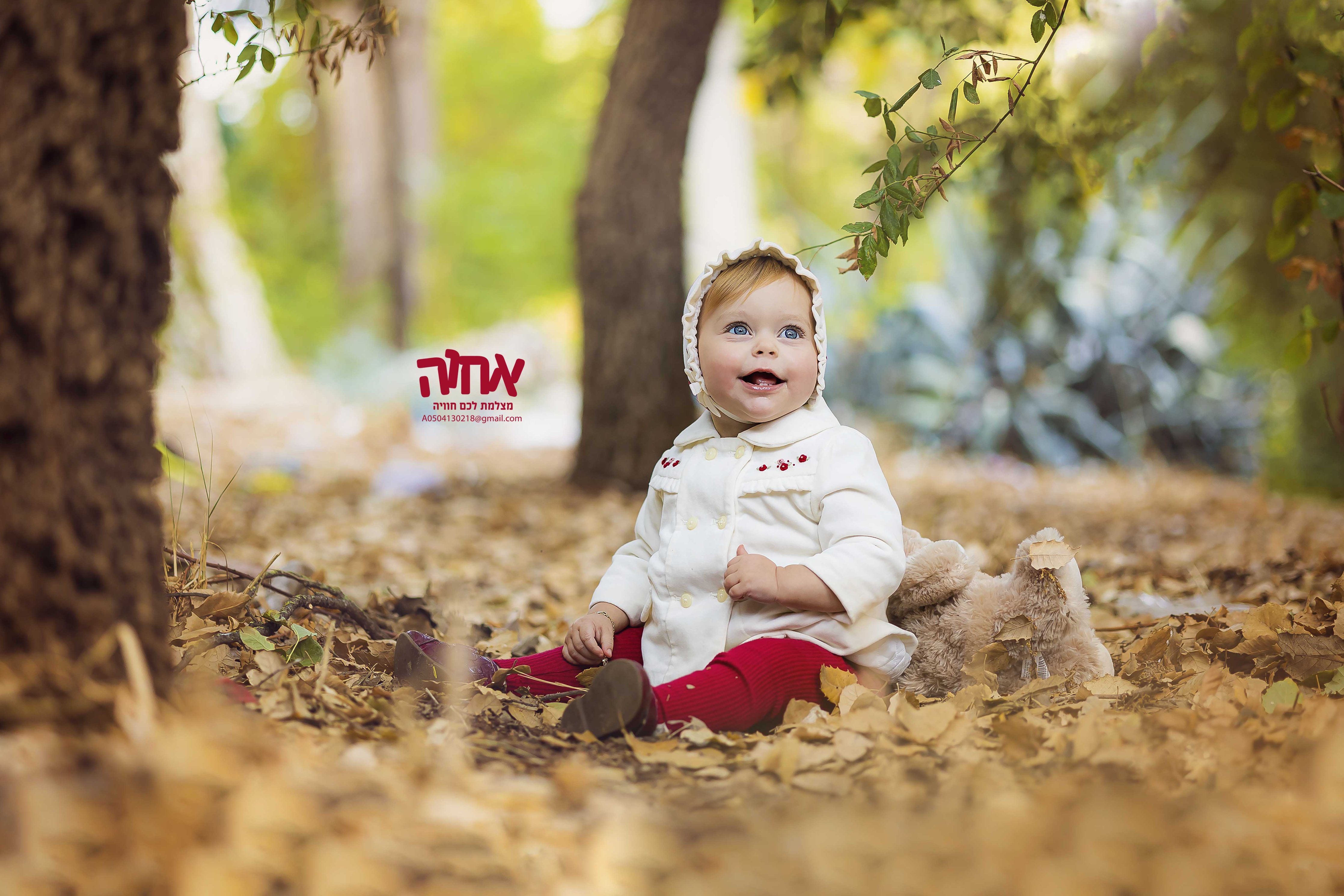 צילום אחוה פלוטקין- 0504130218