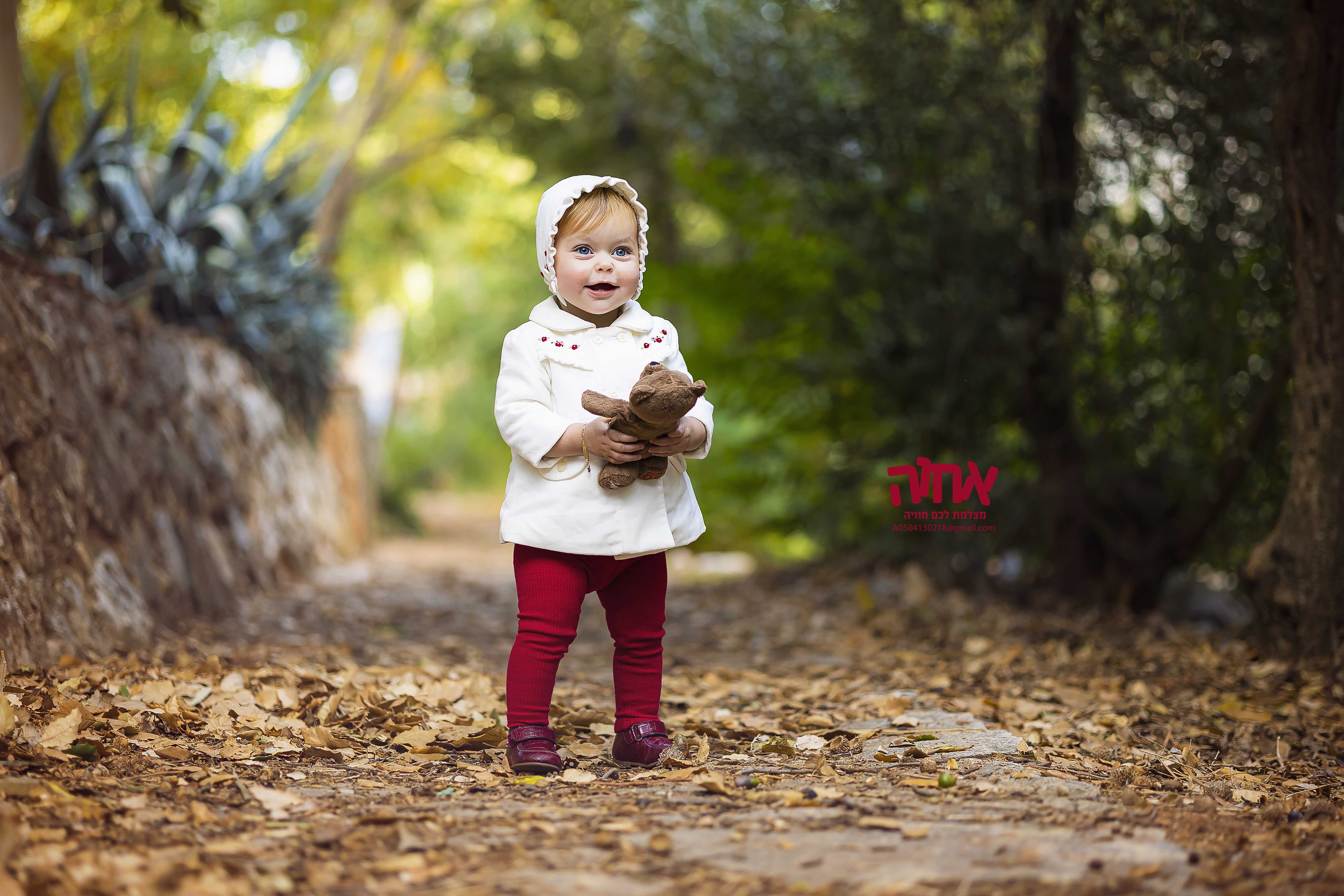 צילום אחוה פלוטקין- 0504130218