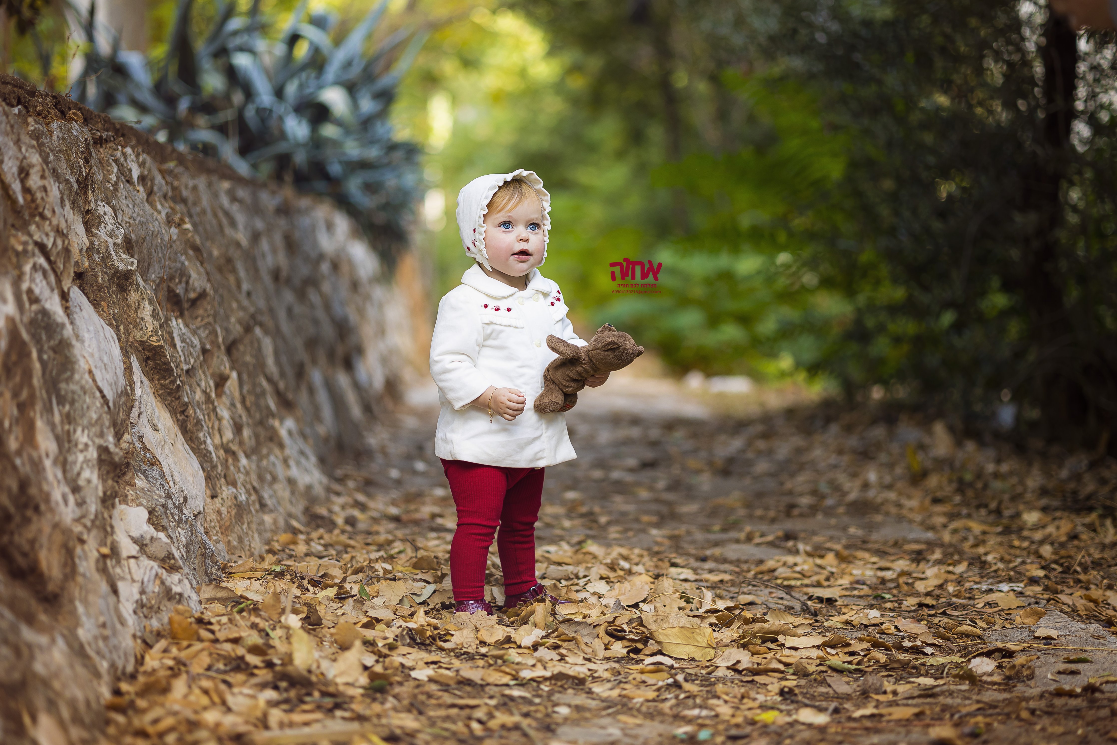 צילום אחוה פלוטקין- 0504130218