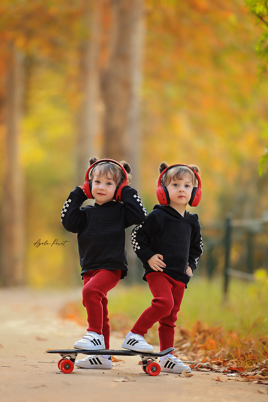 צילום אילה פורת (1).jpg