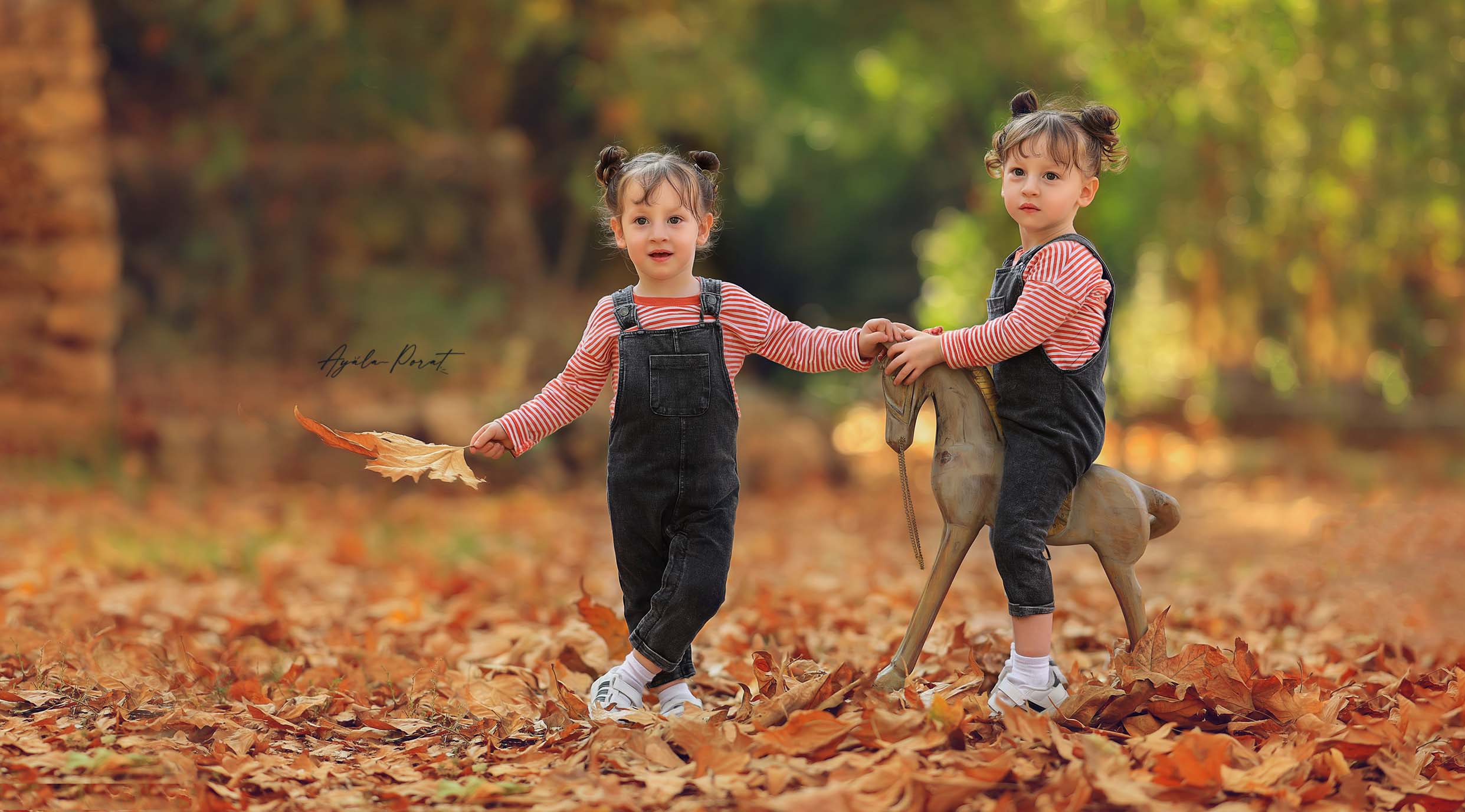 צילום אילה פורת (2).jpg