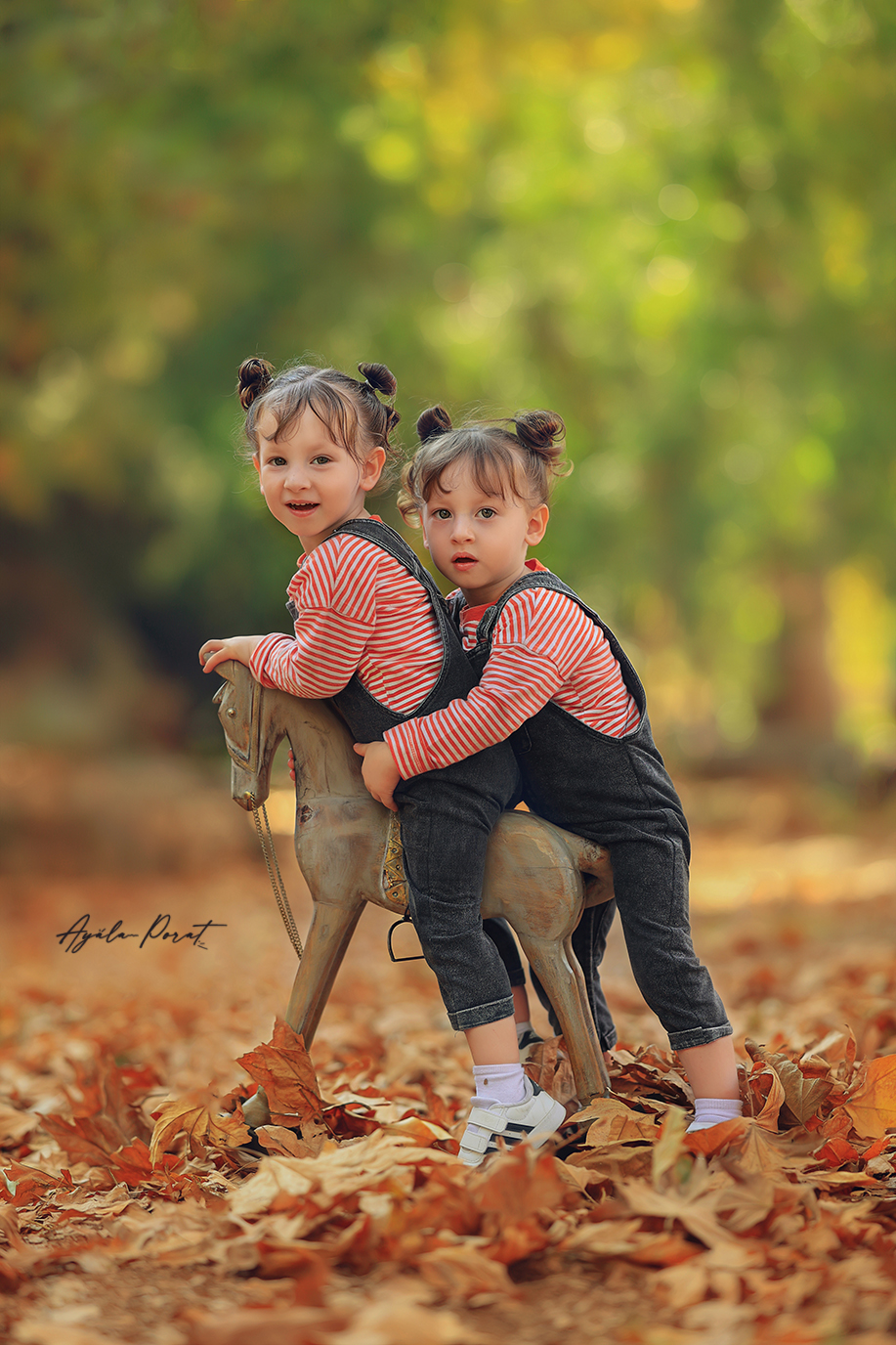 צילום אילה פורת (4).jpg