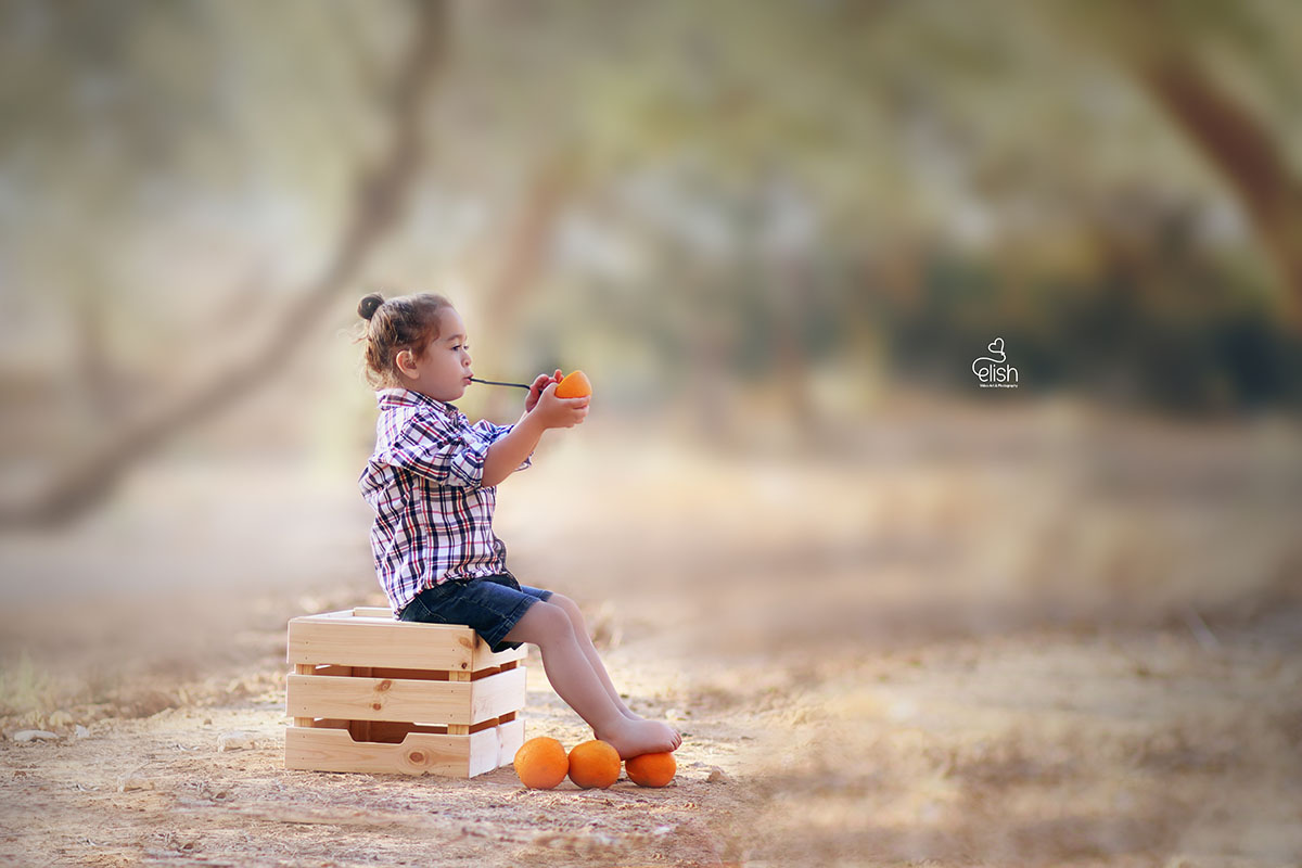 צילום: אלישבע לוין