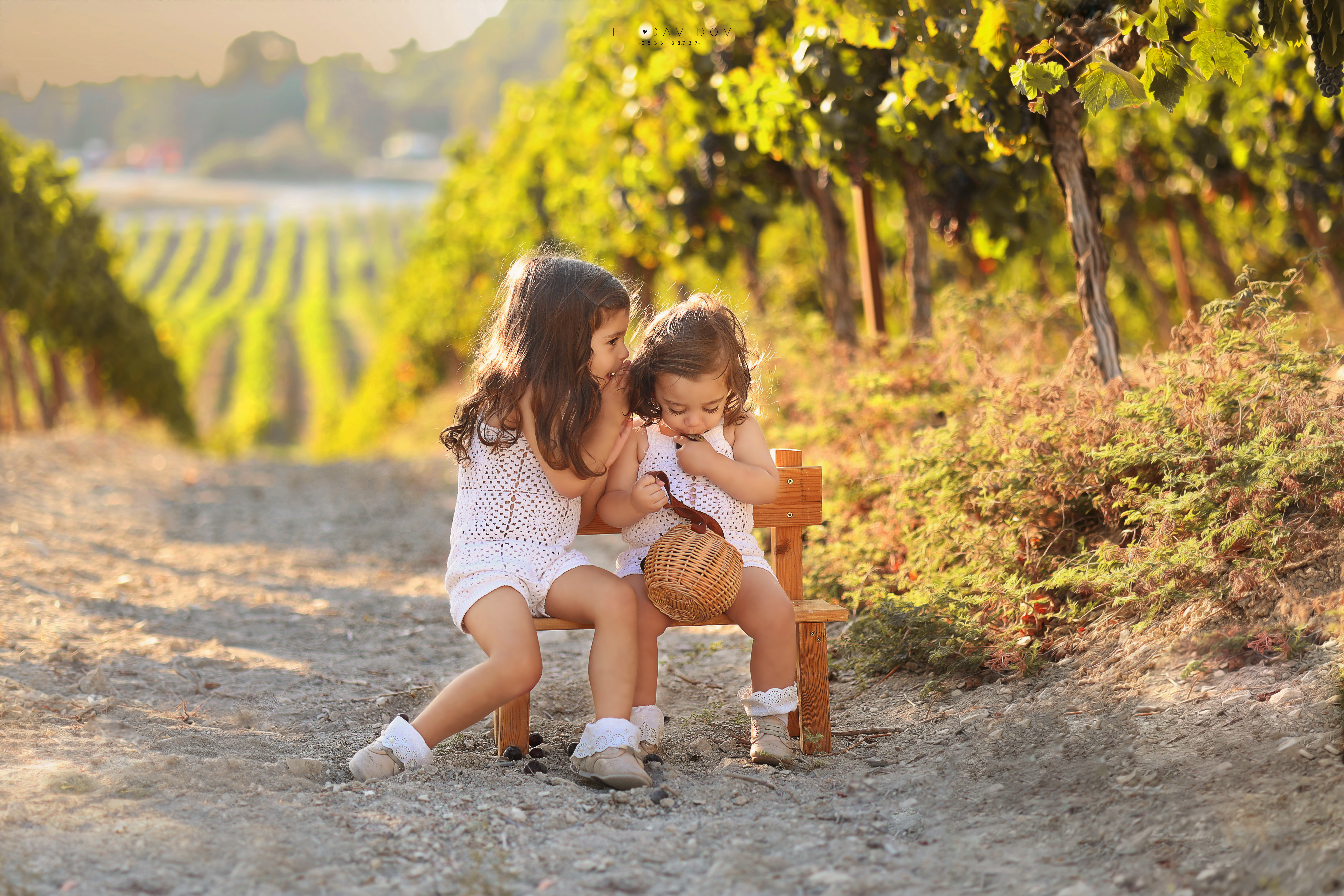 צילום אתי 0533188737 (10).JPG