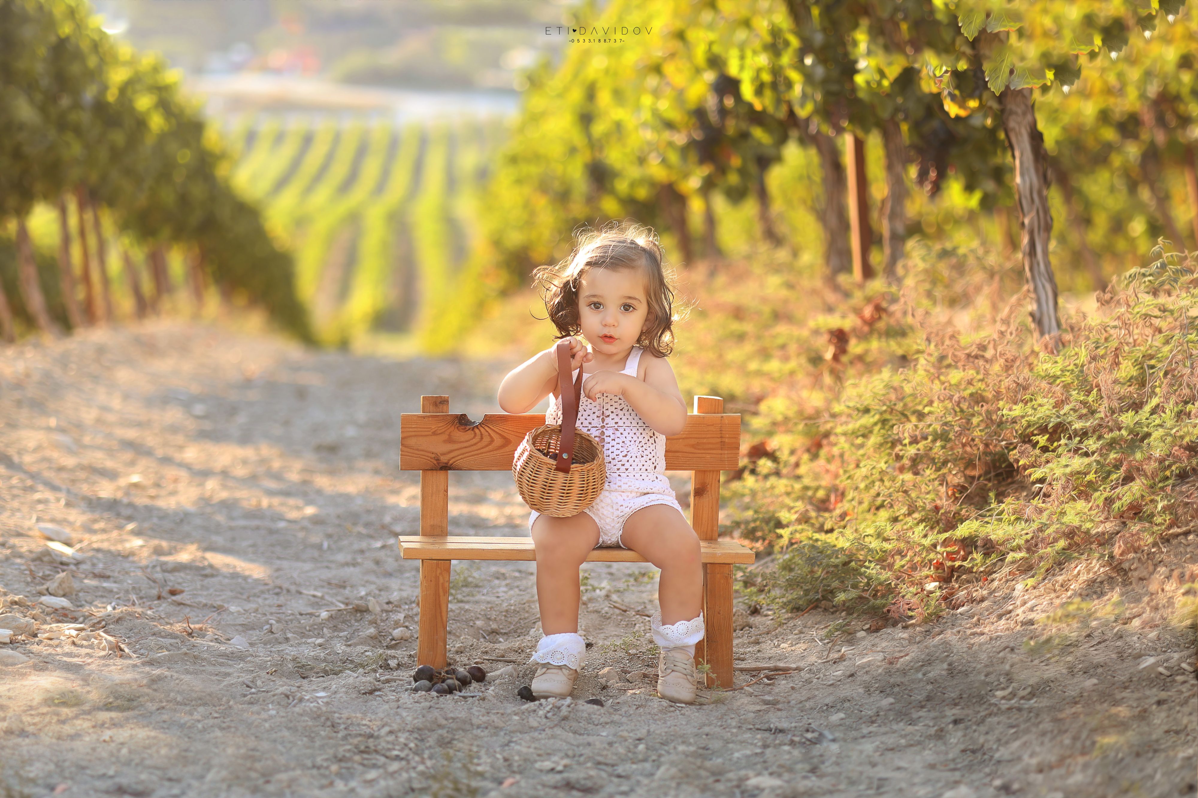 צילום אתי 0533188737 (9).jpg