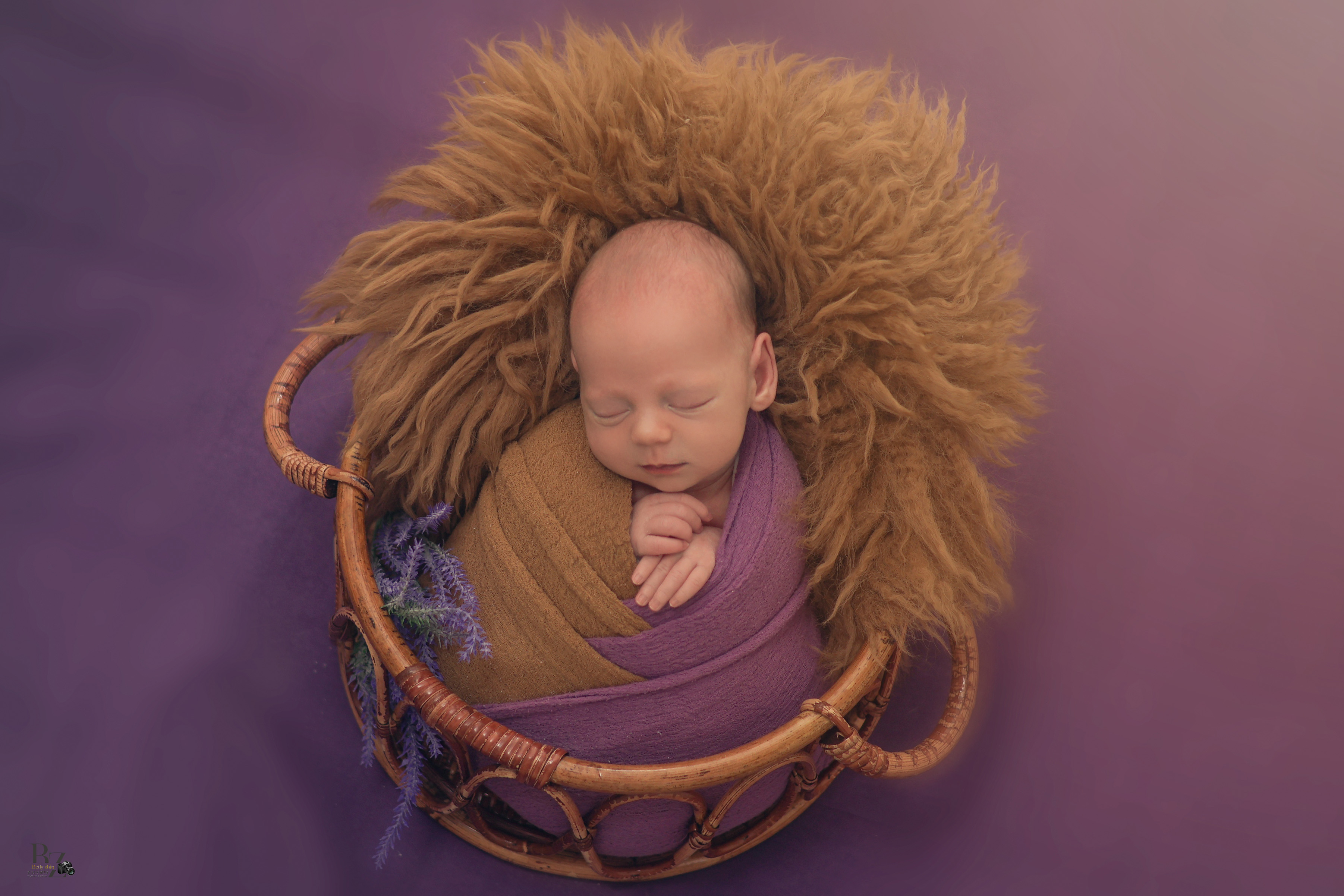 צילום ביילי צין 0534166316