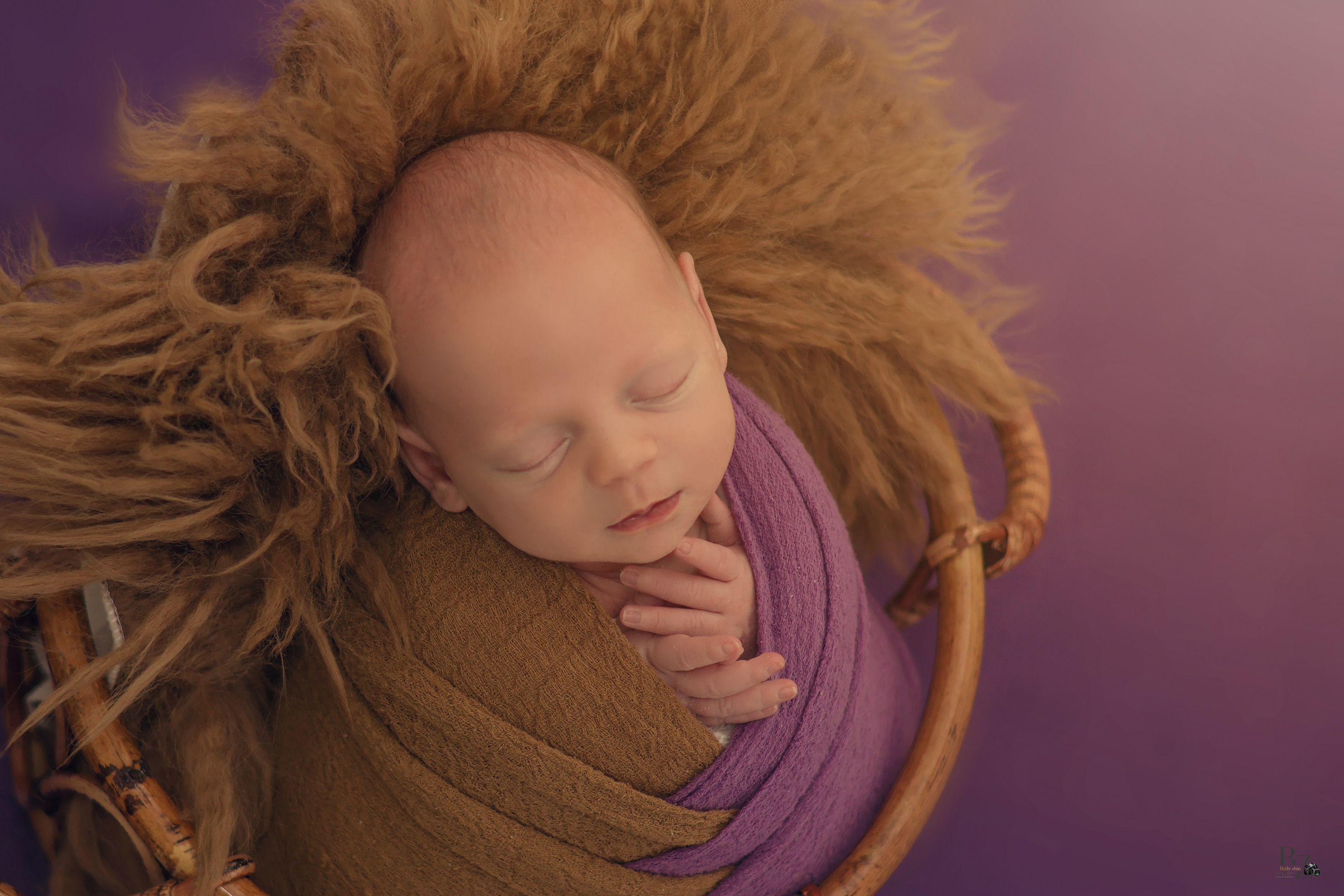 צילום ביילי צין 0534166316