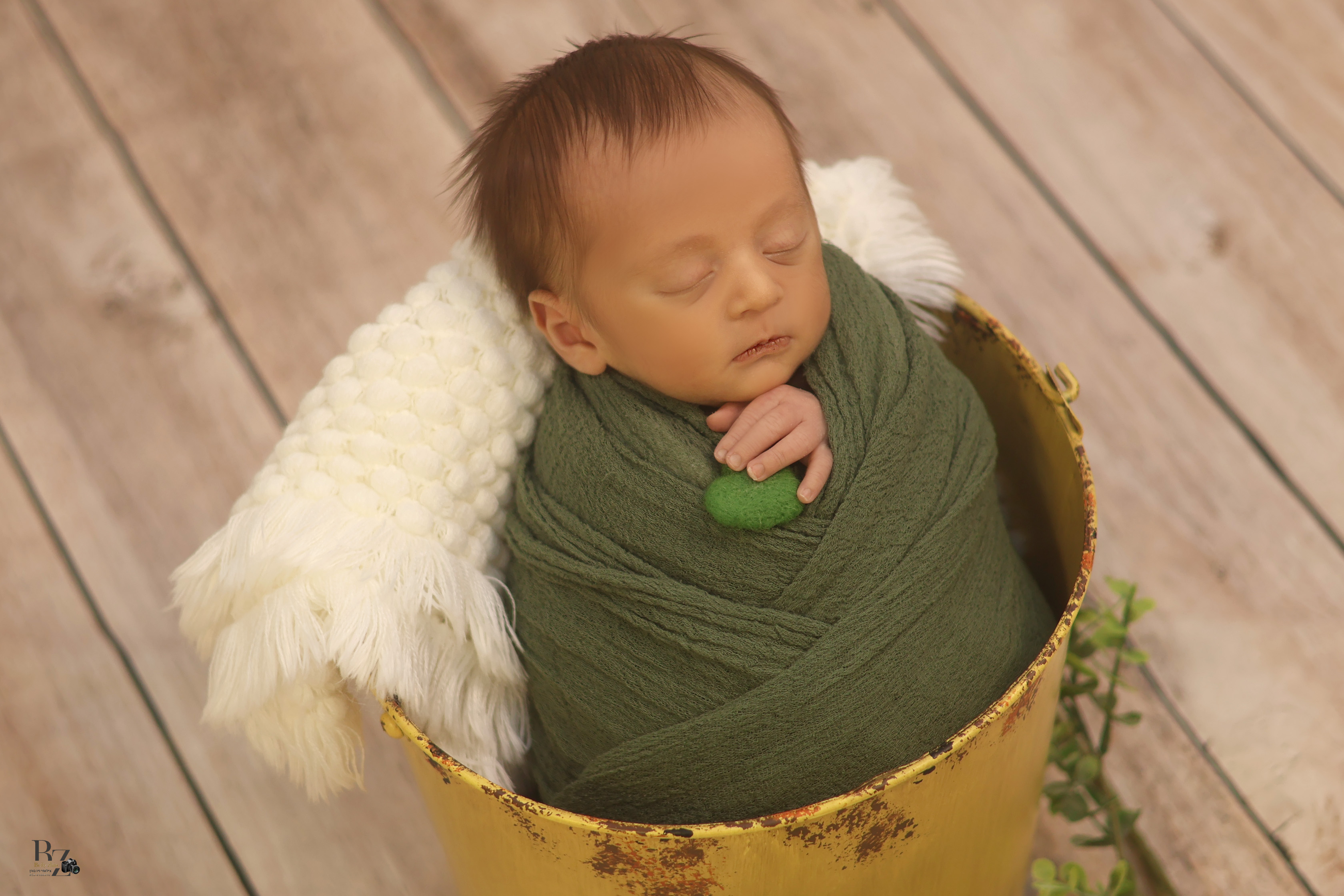 צילום ביילי צין 3.jpg