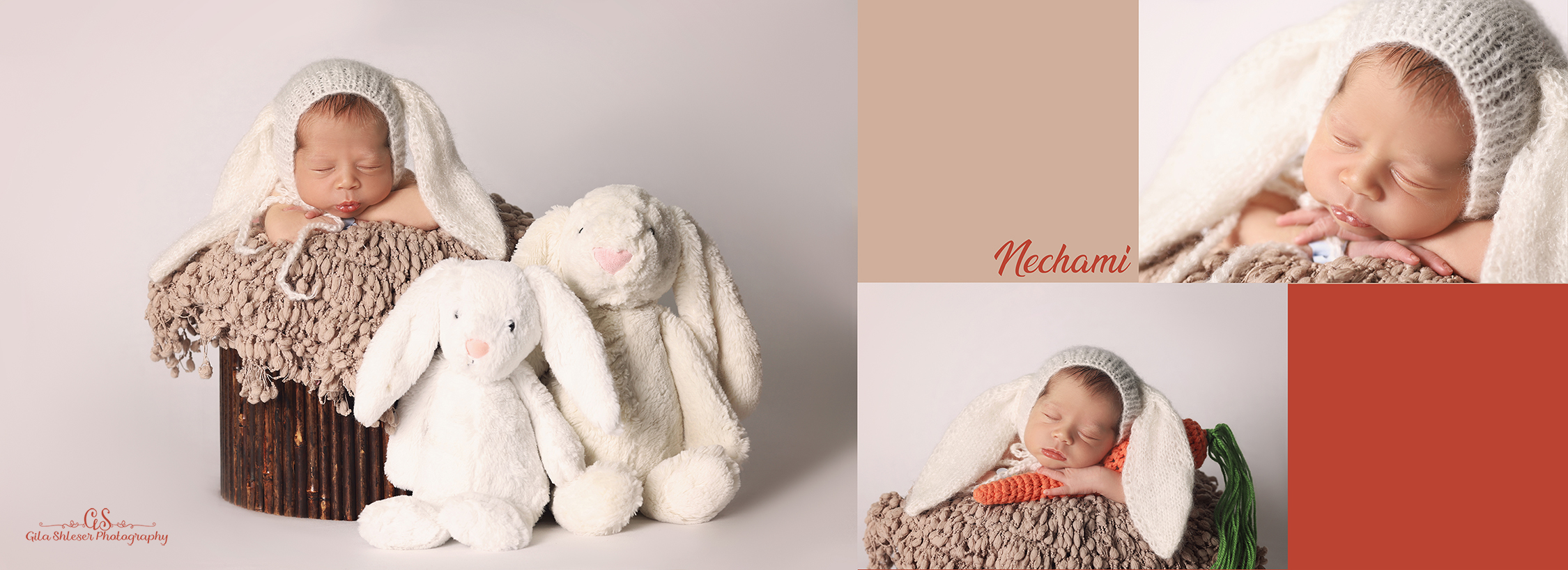 צילום גילה שלסר 0548539444 (20).jpg