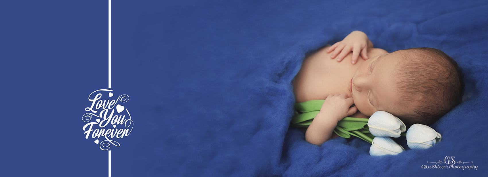 צילום גילה שלסר 0548539444 (27).jpg