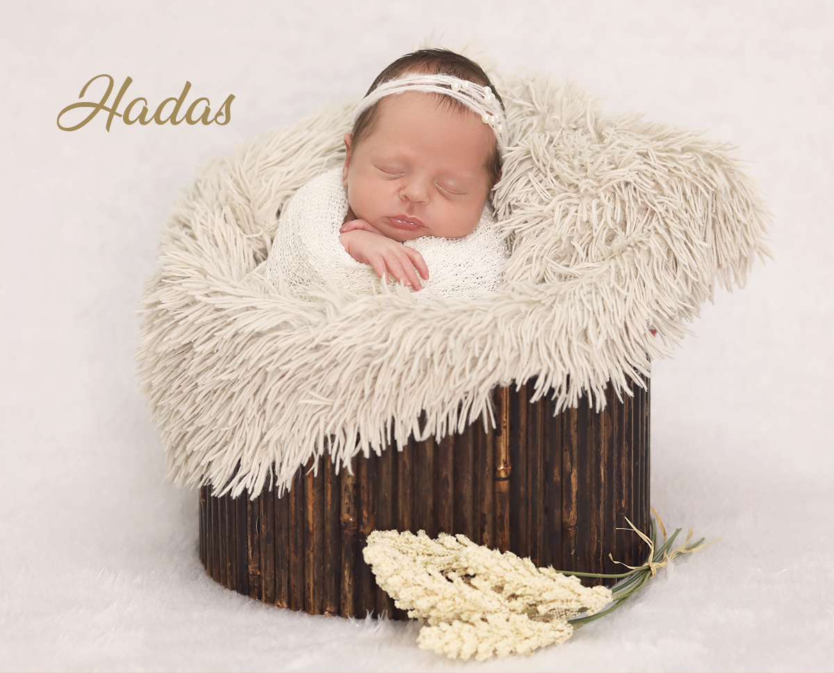 צילום גילה שלסר 0548539444 (3).jpg