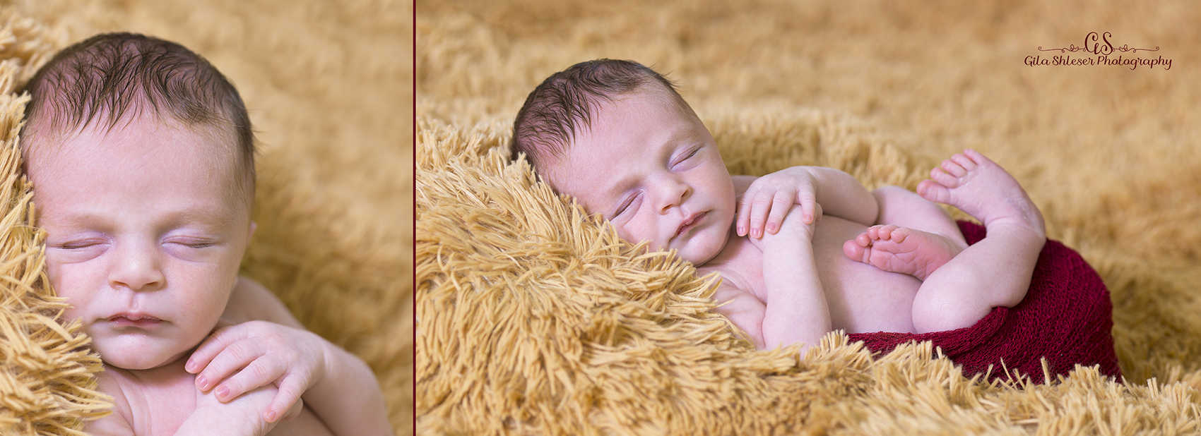 צילום גילה שלסר 0548539444 (34).jpg