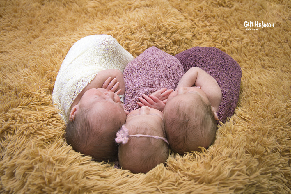 צילום גילה שלסר 0548539444 (44).jpg