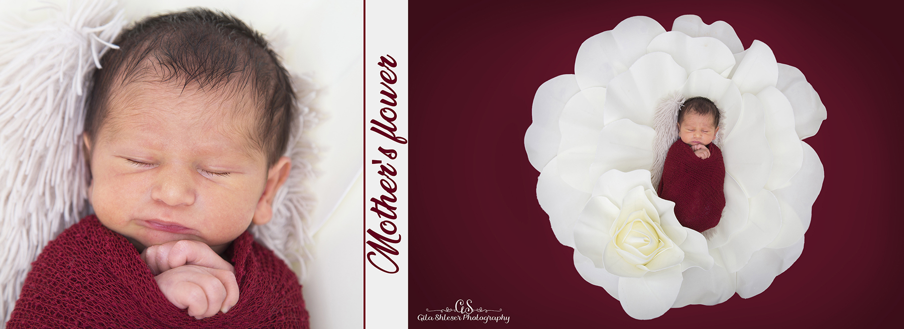 צילום גילה שלסר 0548539444 (46).jpg