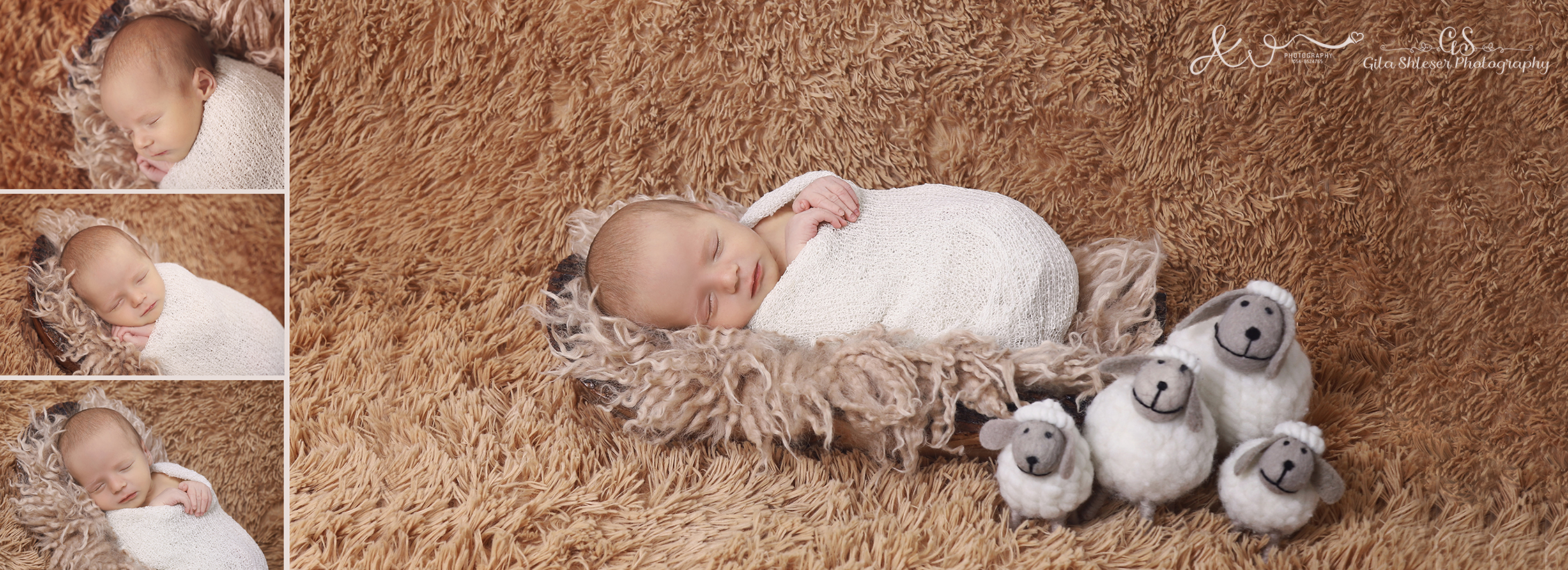 צילום גילה שלסר 0548539444 (48).jpg