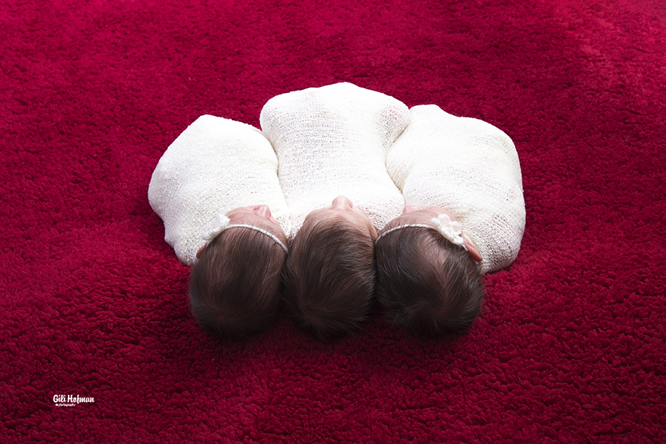 צילום גילה שלסר 0548539444 (48).jpg