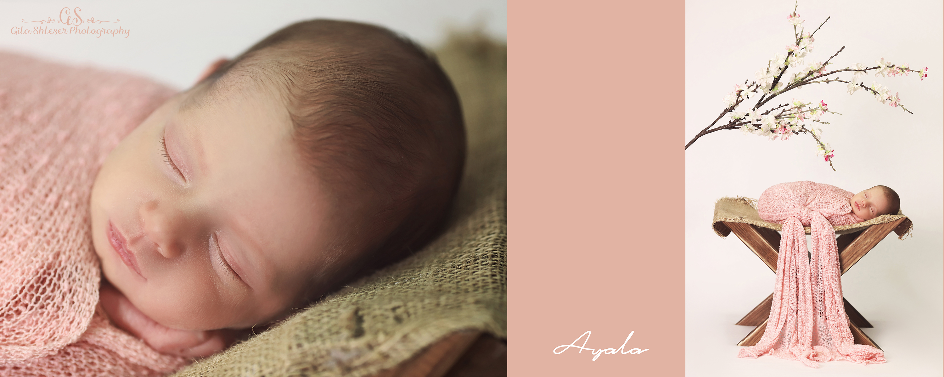 צילום גילה שלסר 0548539444 (5).jpg