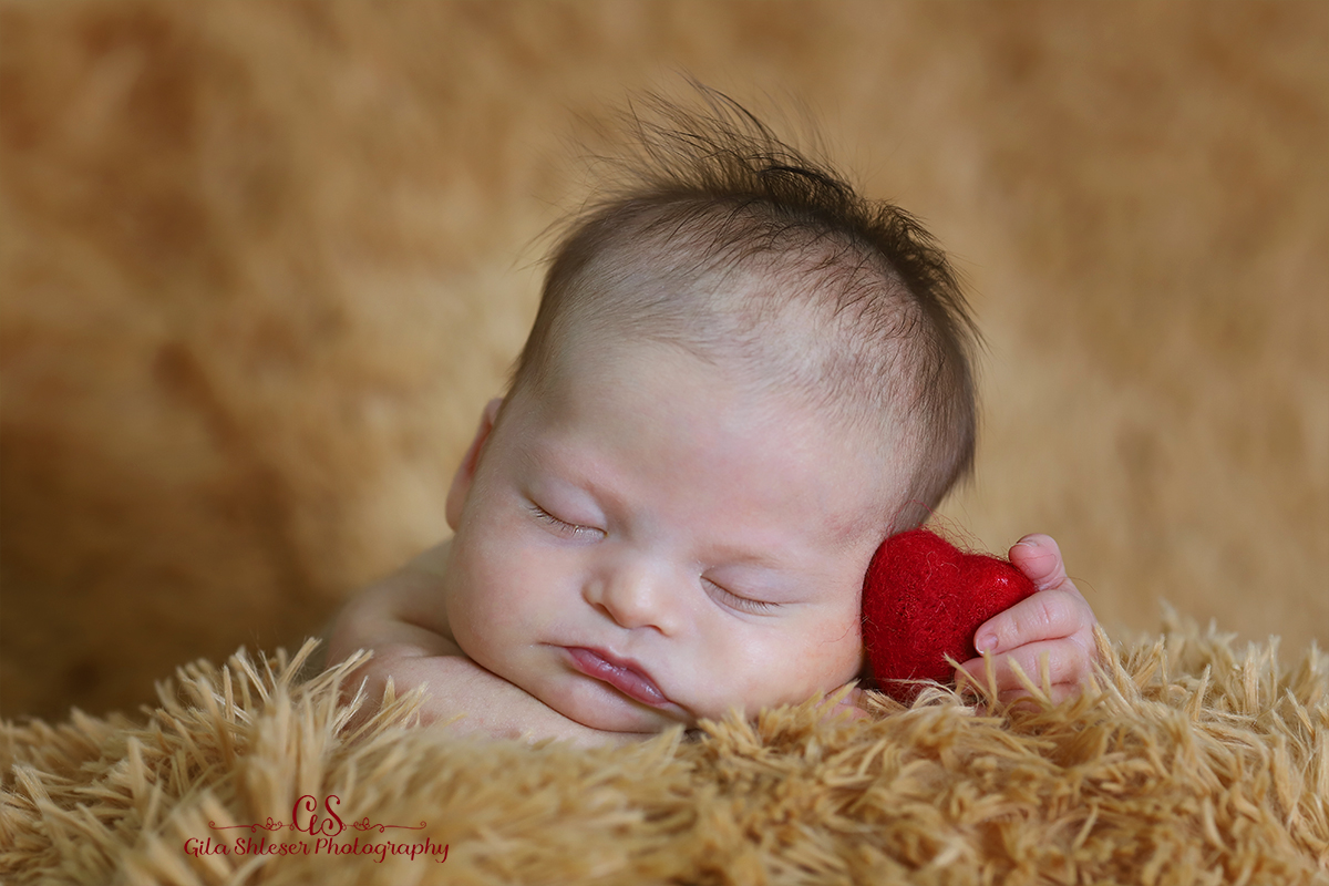 צילום גילה שלסר 0548539444 (54).jpg