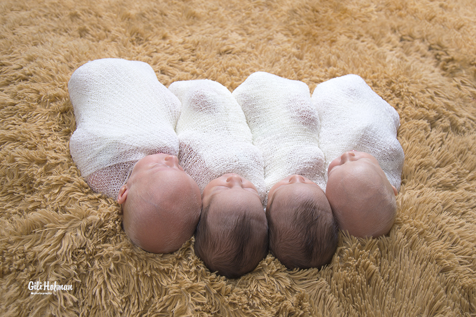 צילום גילה שלסר 0548539444 (56).jpg