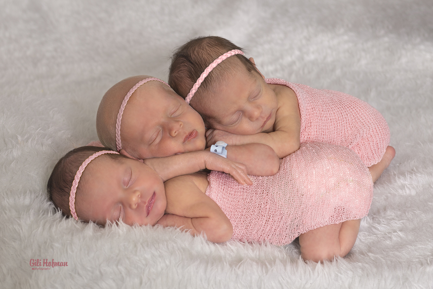 צילום גילה שלסר 0548539444 (57).jpg