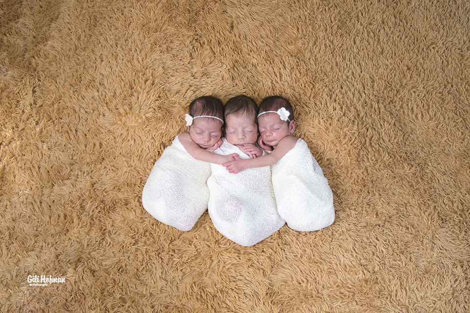 צילום גילה שלסר 0548539444 (61).jpg