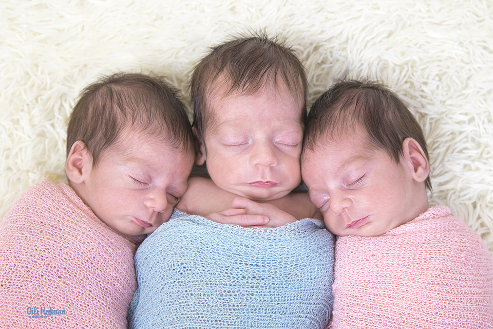 צילום גילה שלסר 0548539444 (62).jpg