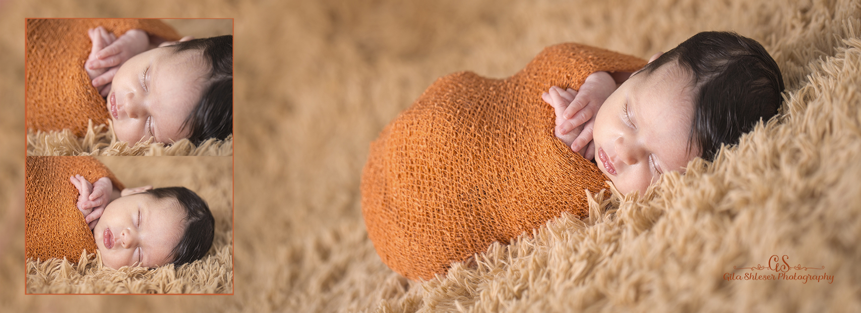 צילום גילה שלסר 0548539444 (7).jpg